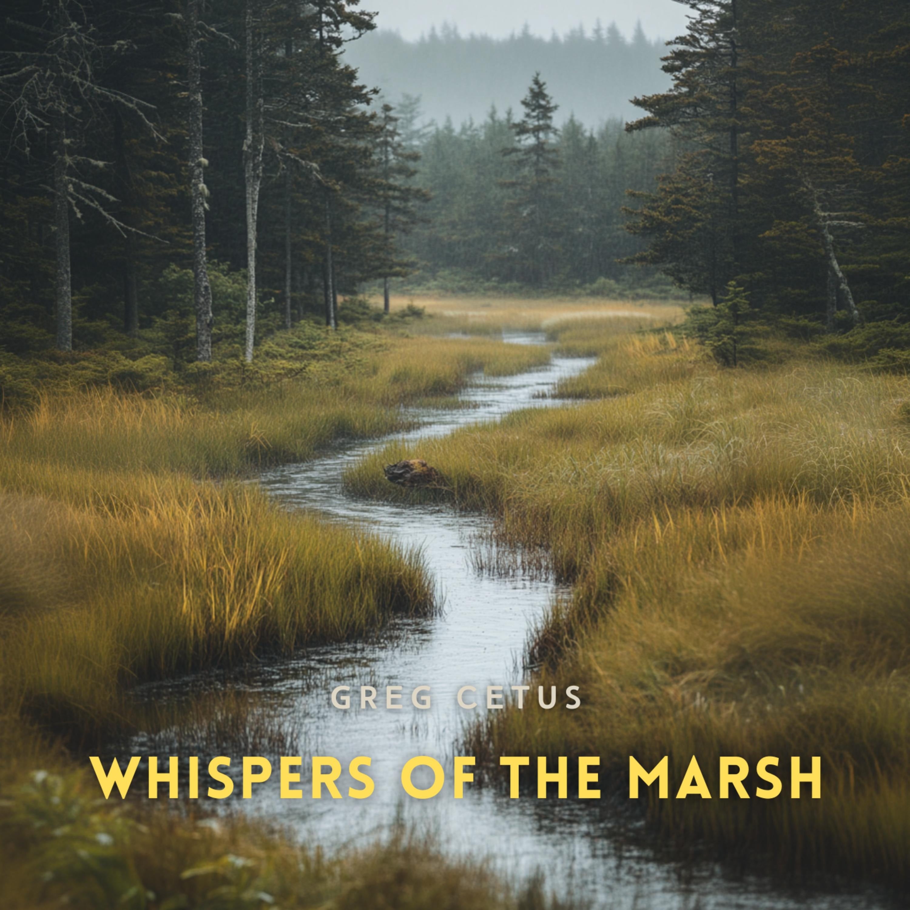 Whispers of the Marsh: Water Trickles, Frogs, and Birds from a Coastal Wetland