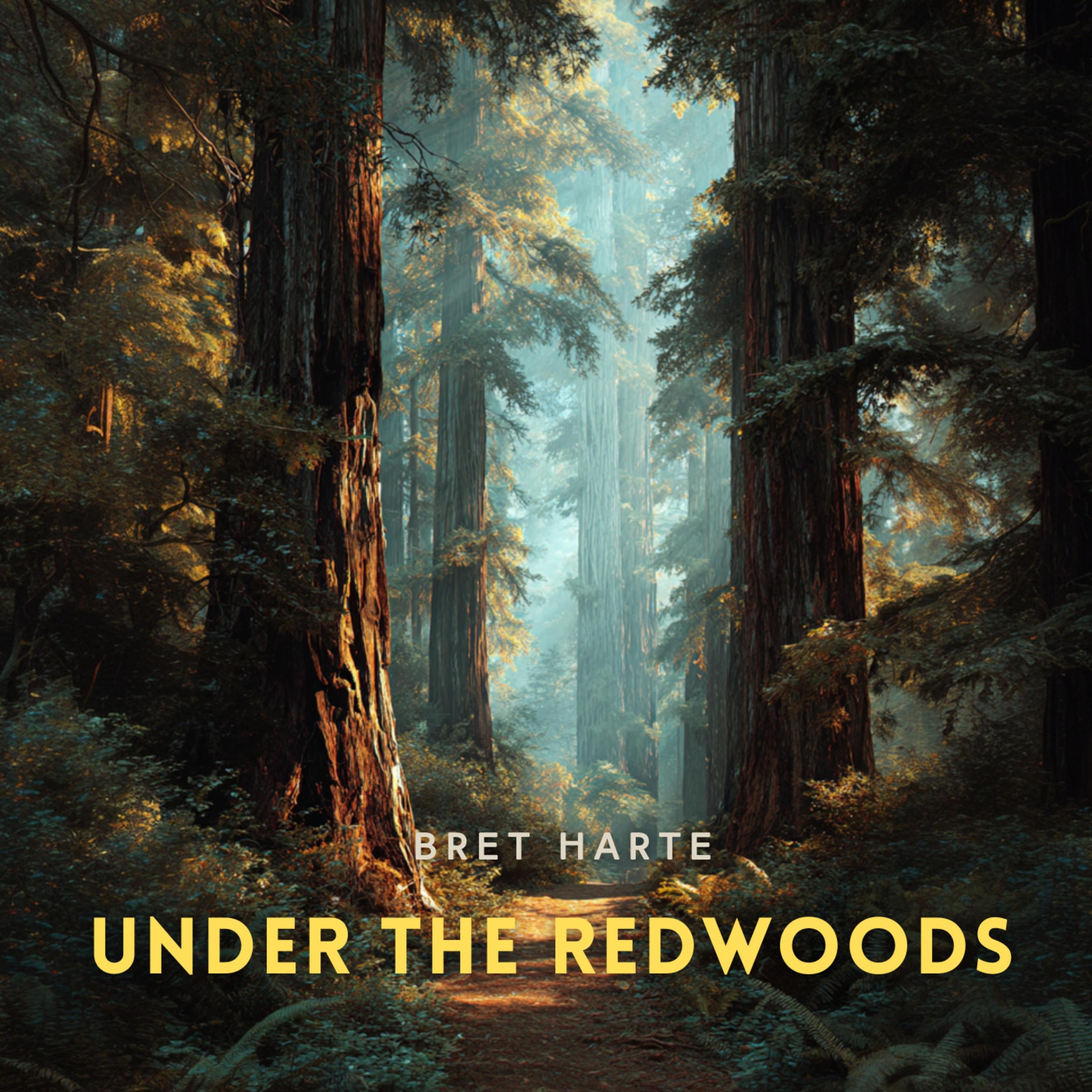 Under the Redwoods