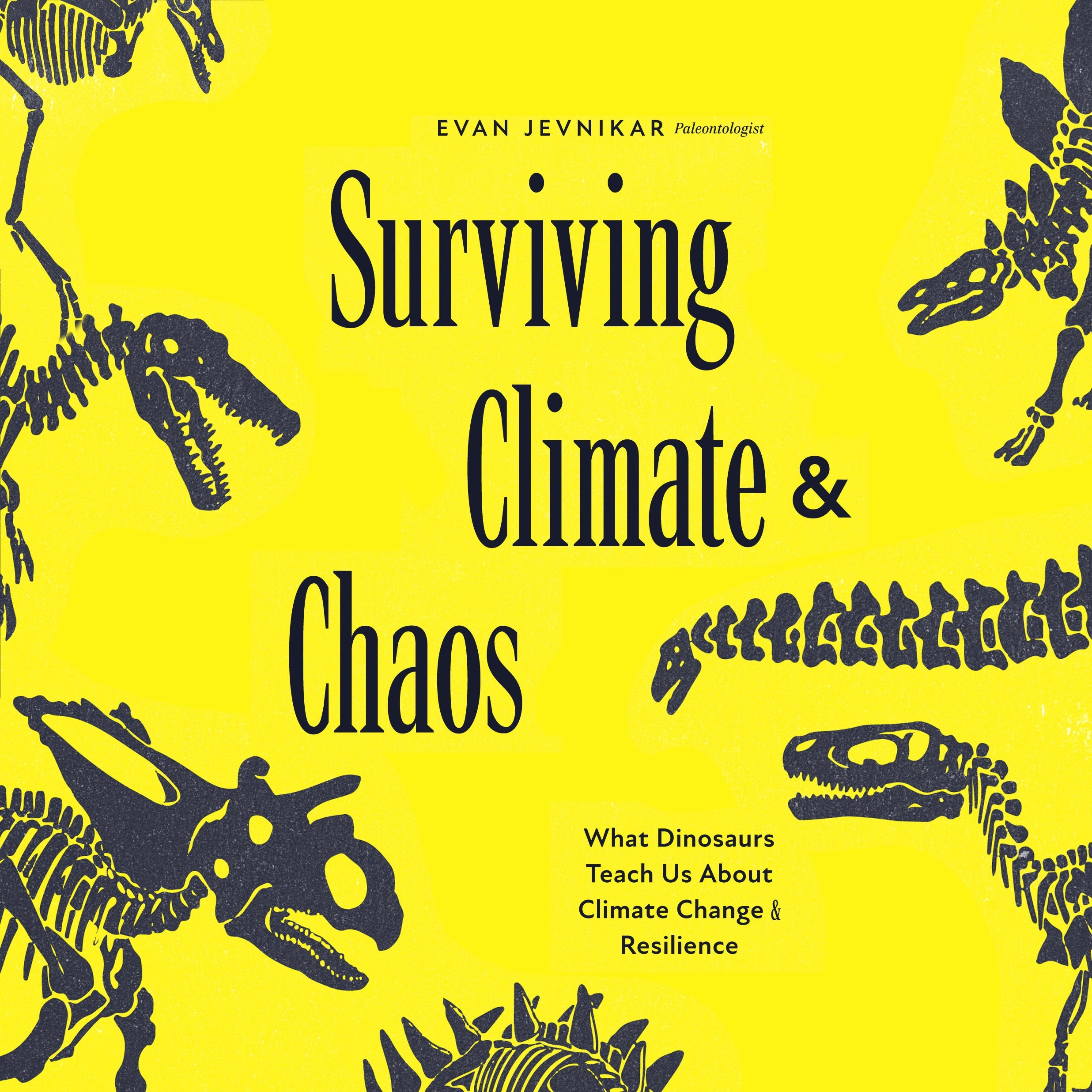 Surviving Climate and Chaos