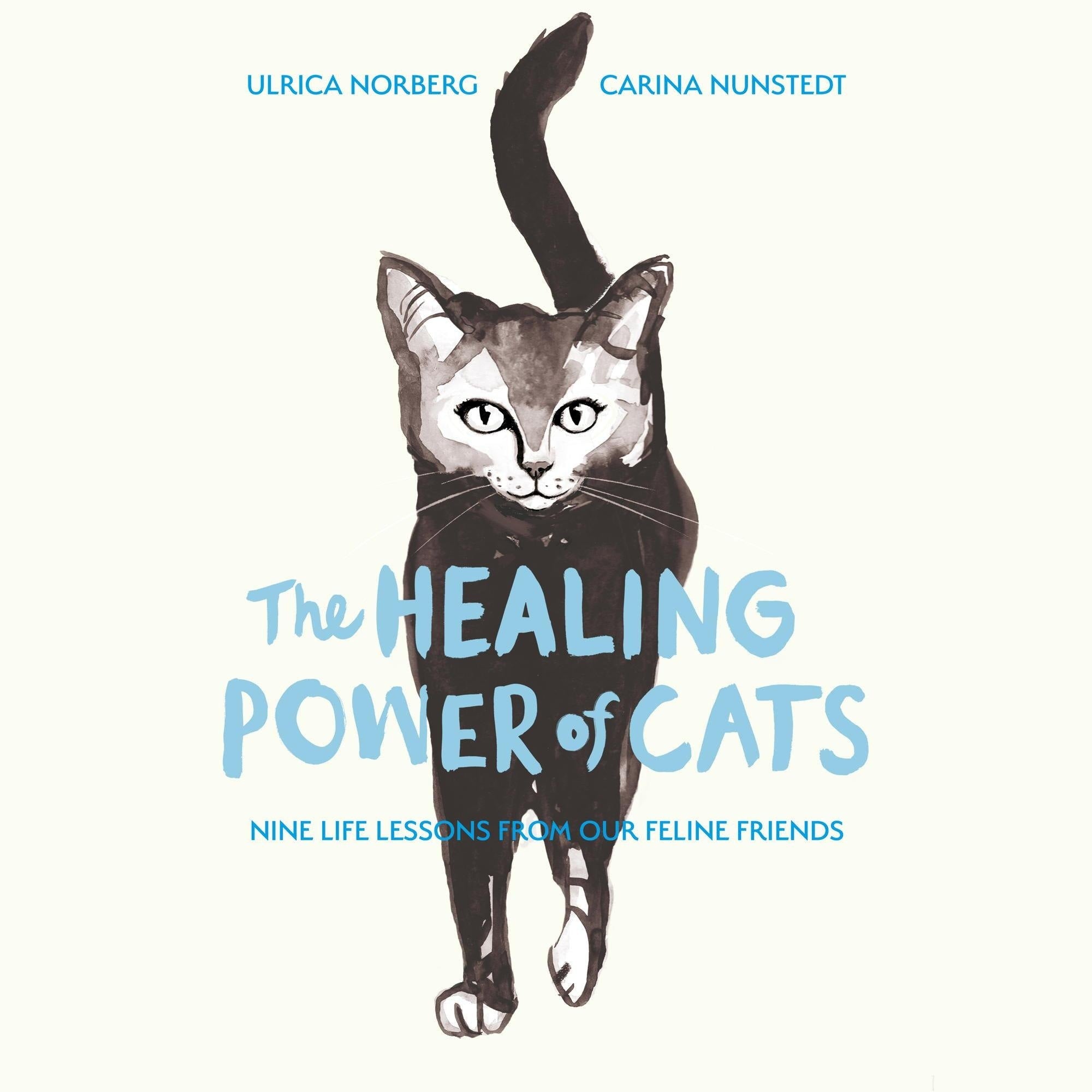 The Healing Power of Cats