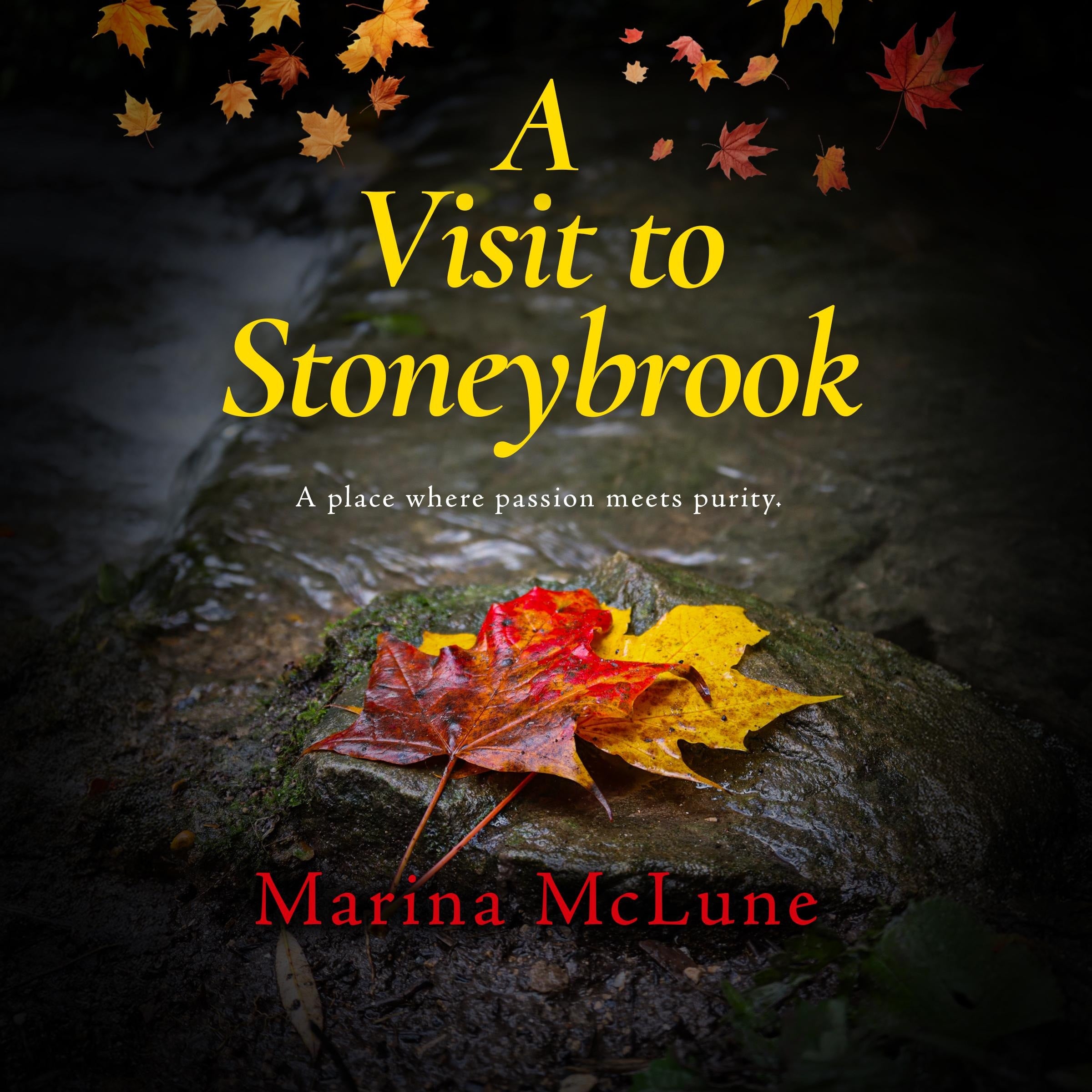 A Visit to Stoneybrook
