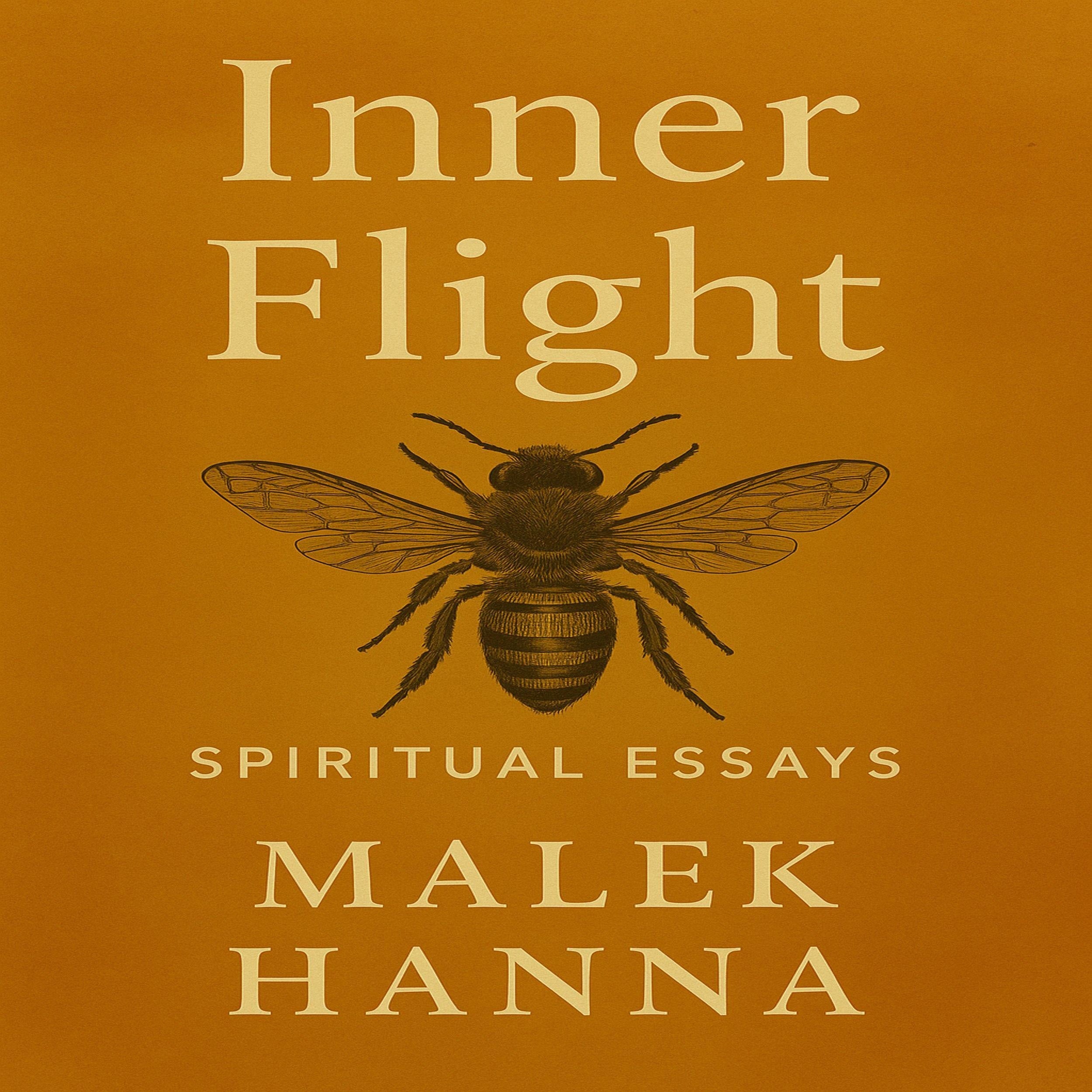 Inner Flight