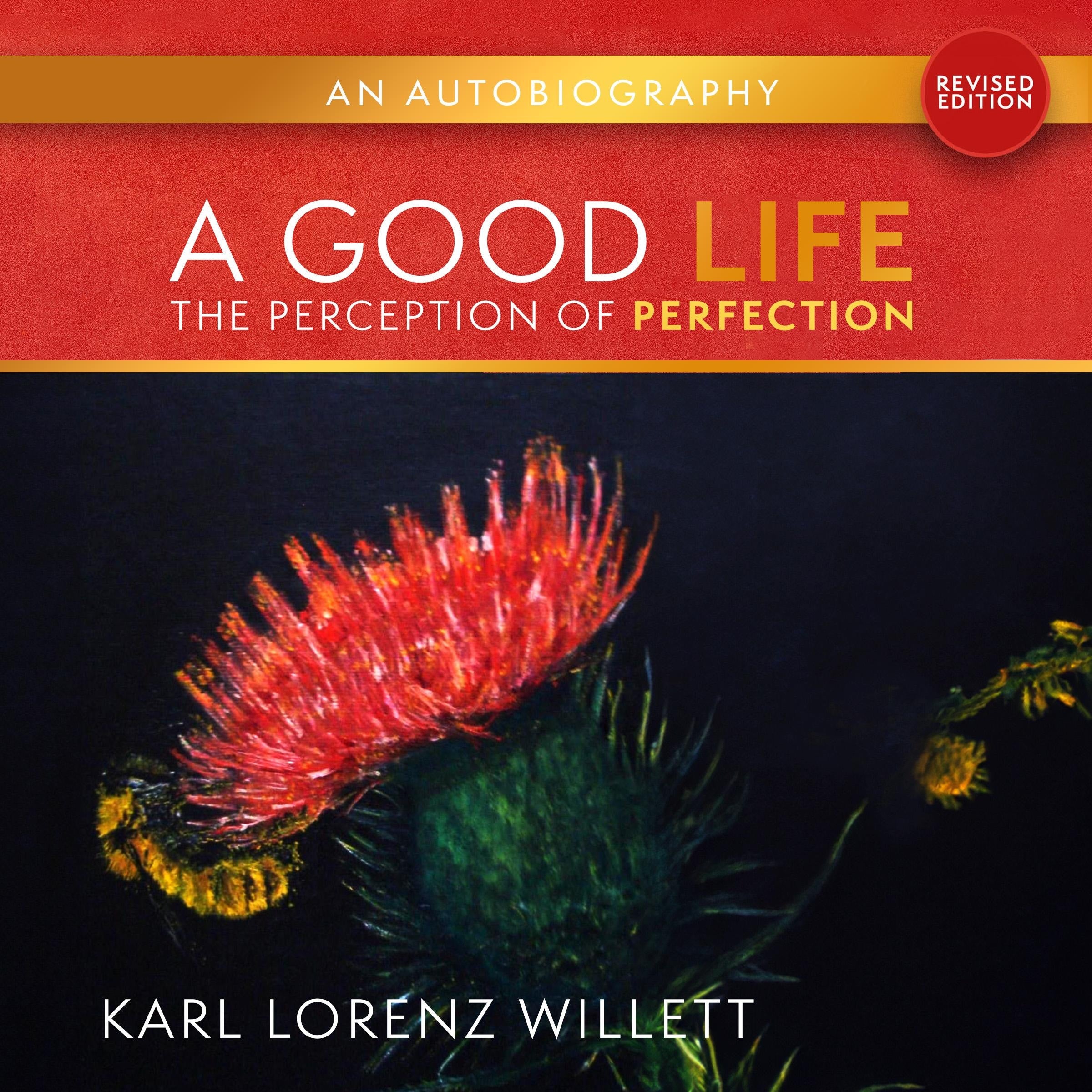 A Good Life: The Perception OF Perfection (Revised Edition)