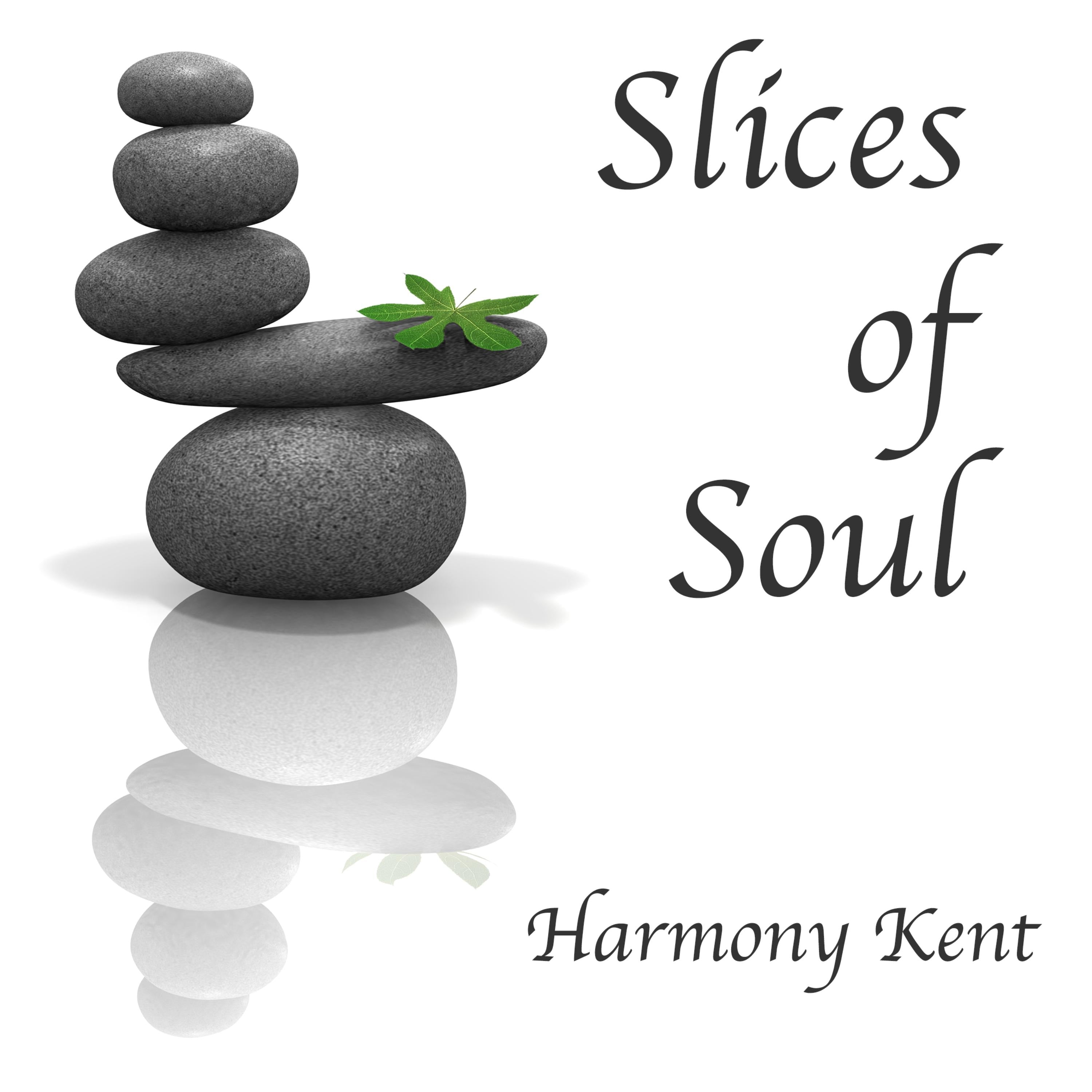 Slices of Soul