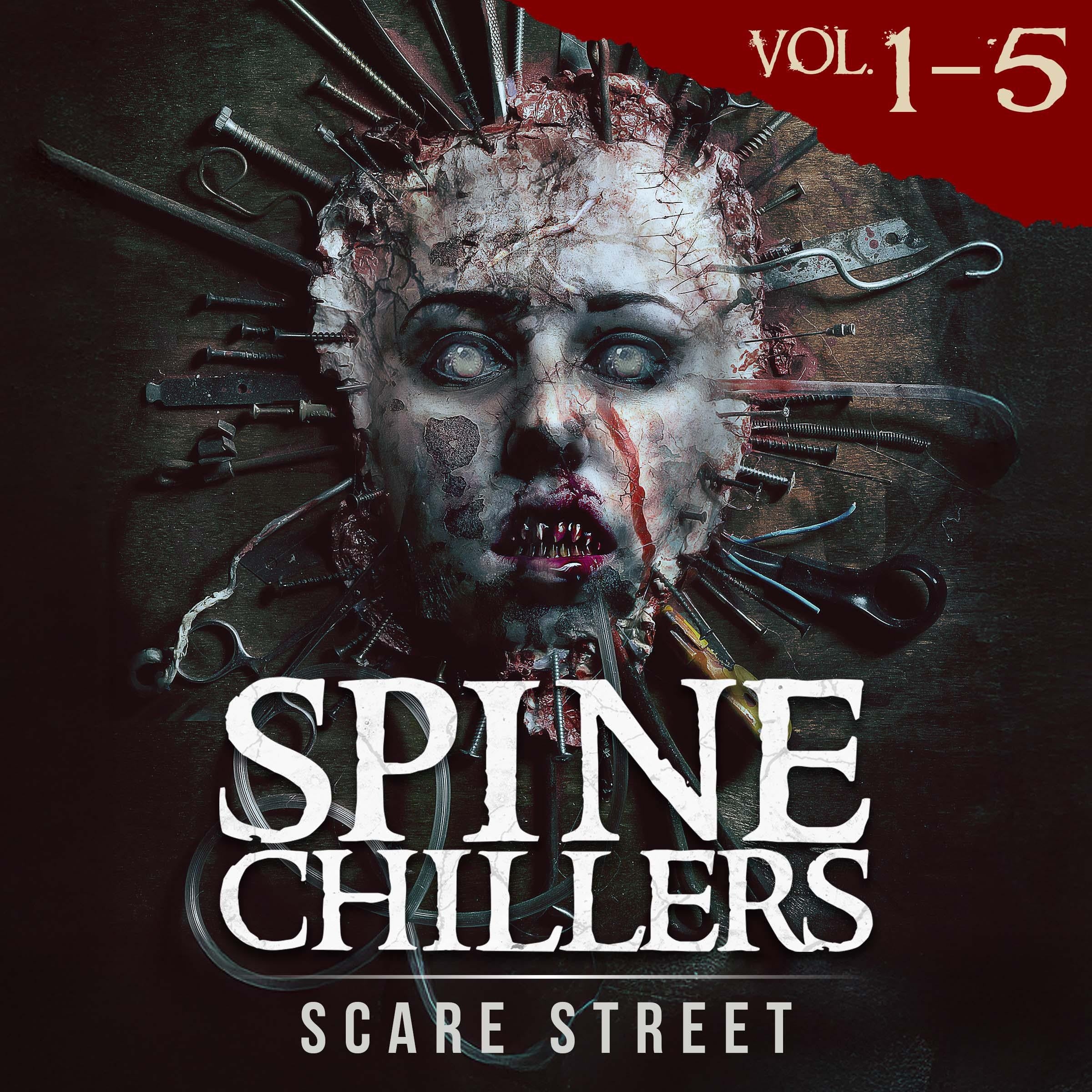 Short Horror Stories: Spine Chillers Volumes 1 - 5