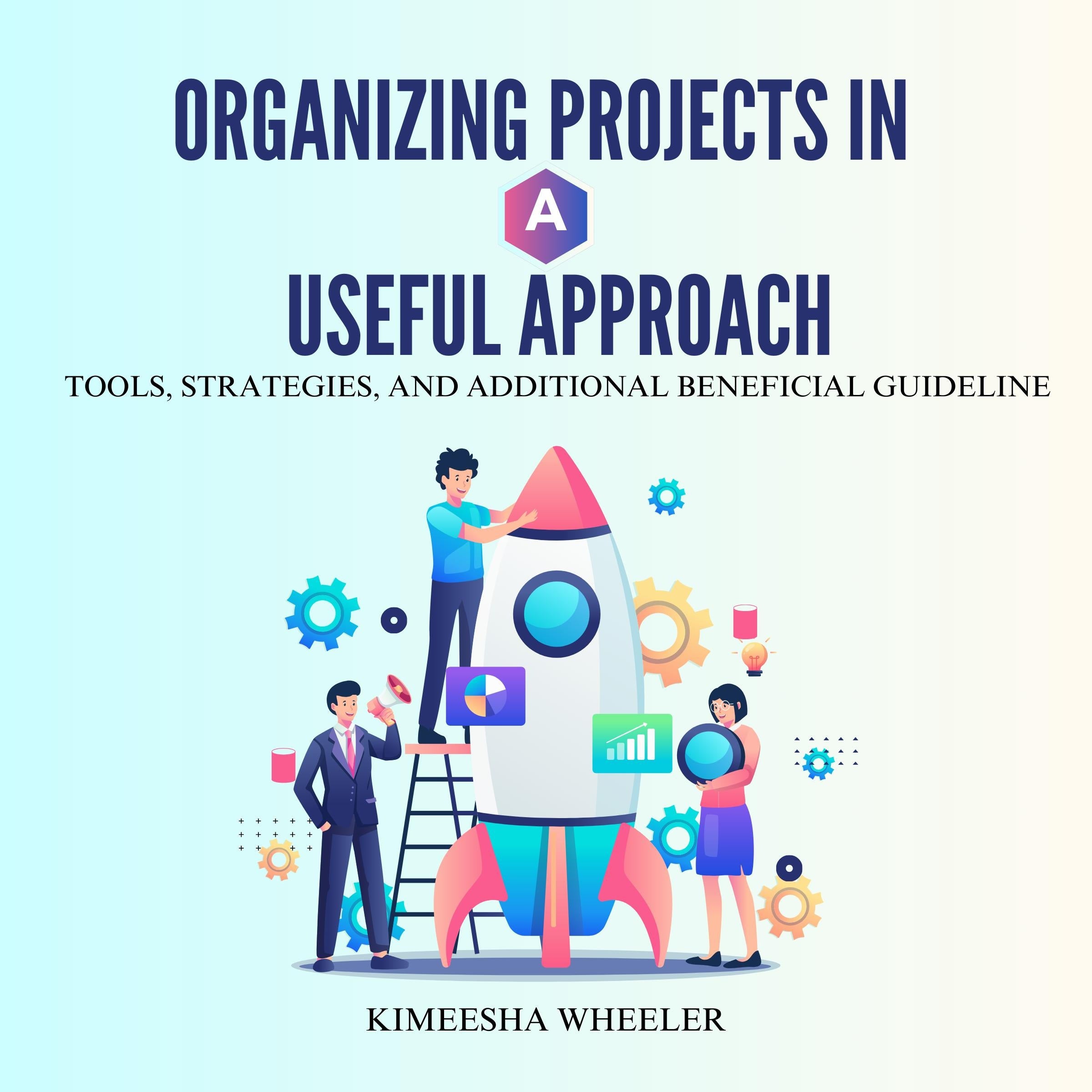 Organizing Projects in a Useful Approach