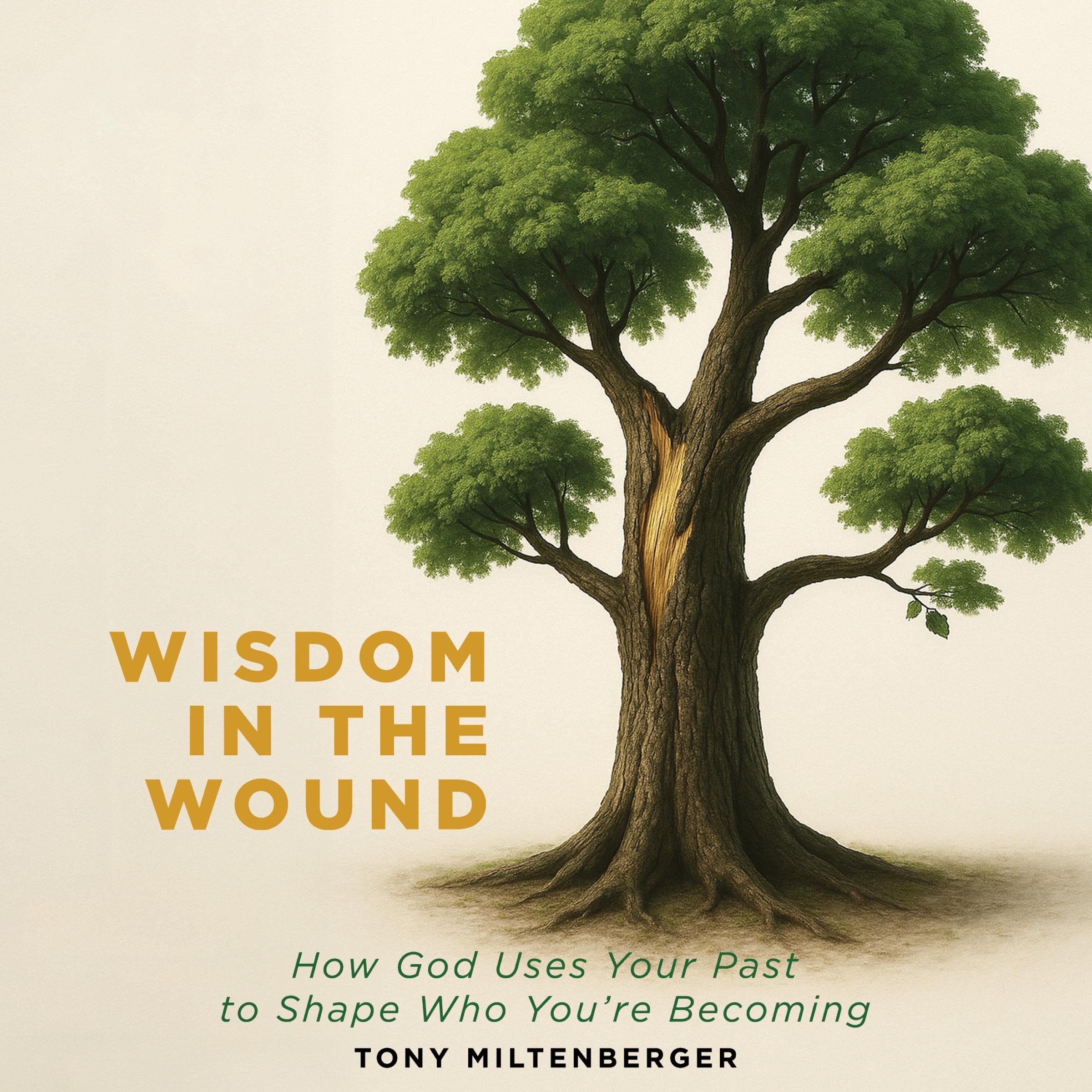 Wisdom in the Wound