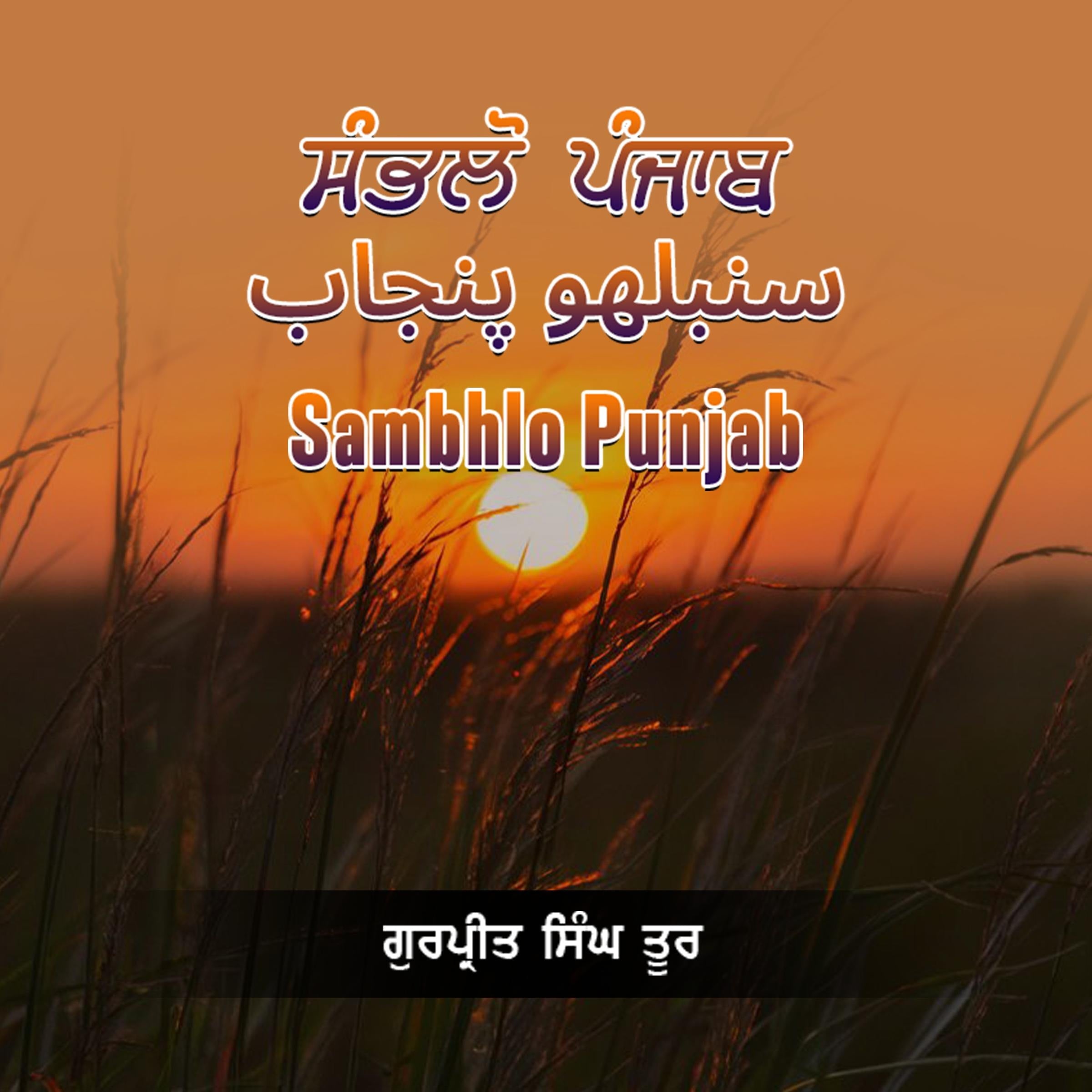 Sambhlo punjab