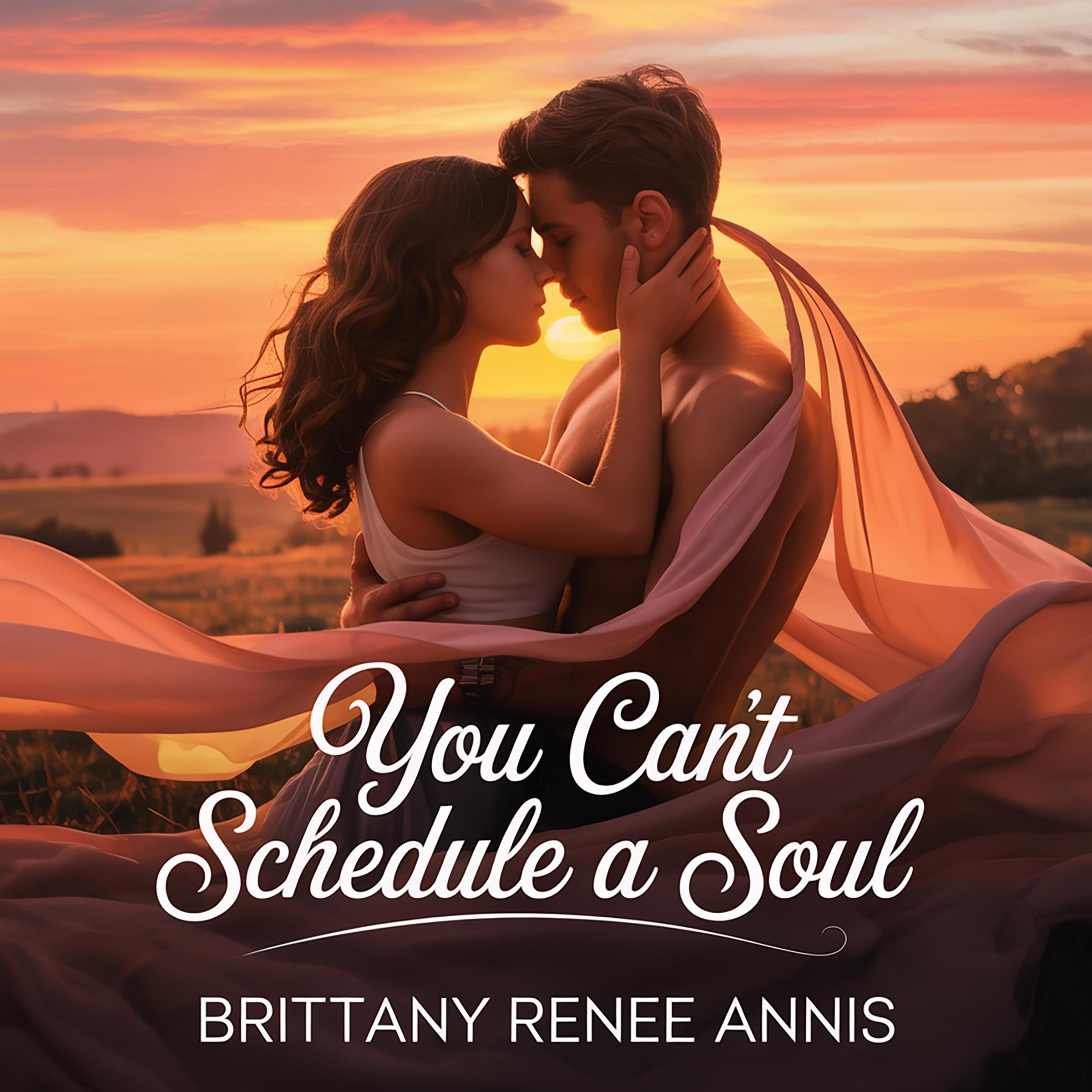 You Cant Schedule A Soul - A whirlwind romance
