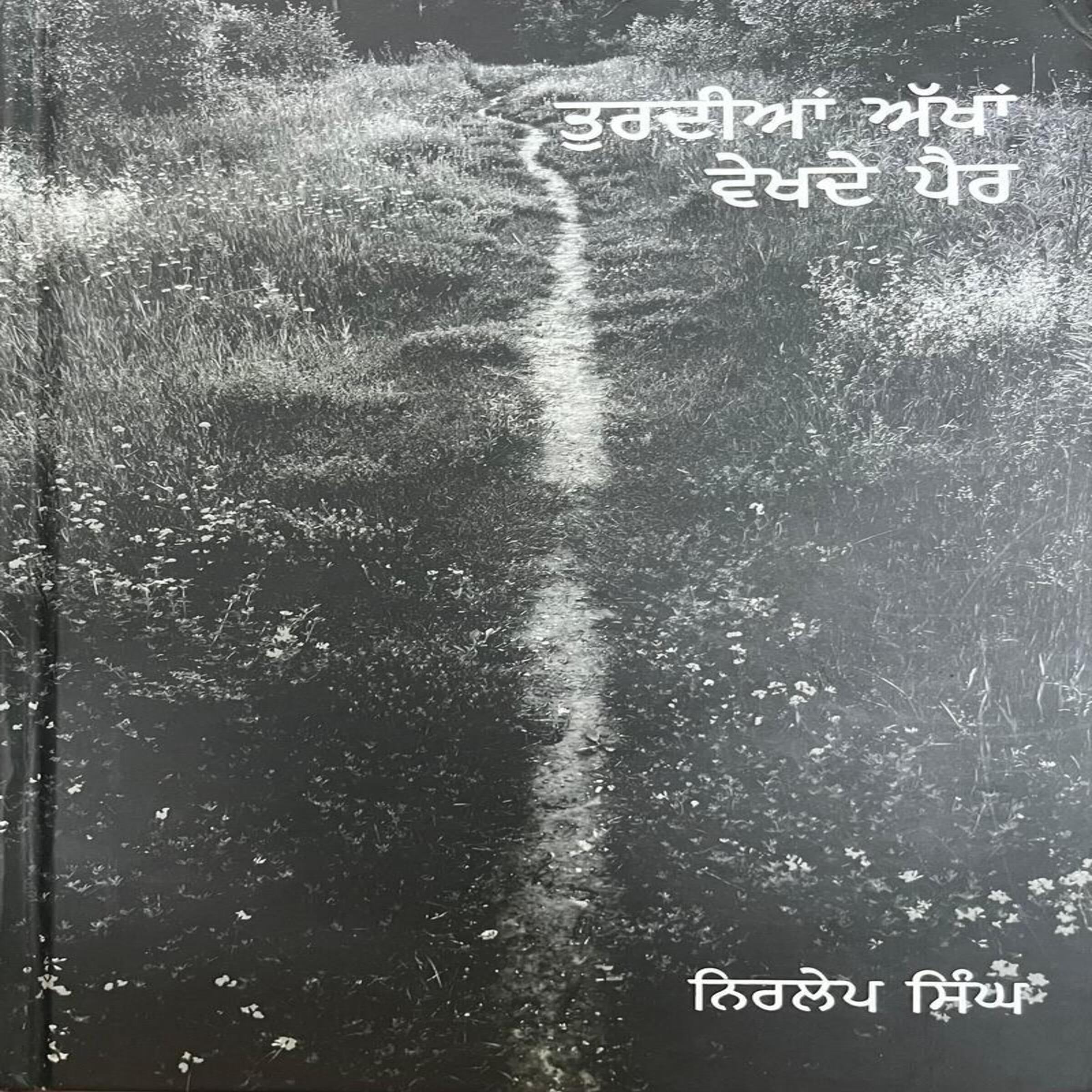 Turdiaan Akhaan Vekhde Pair