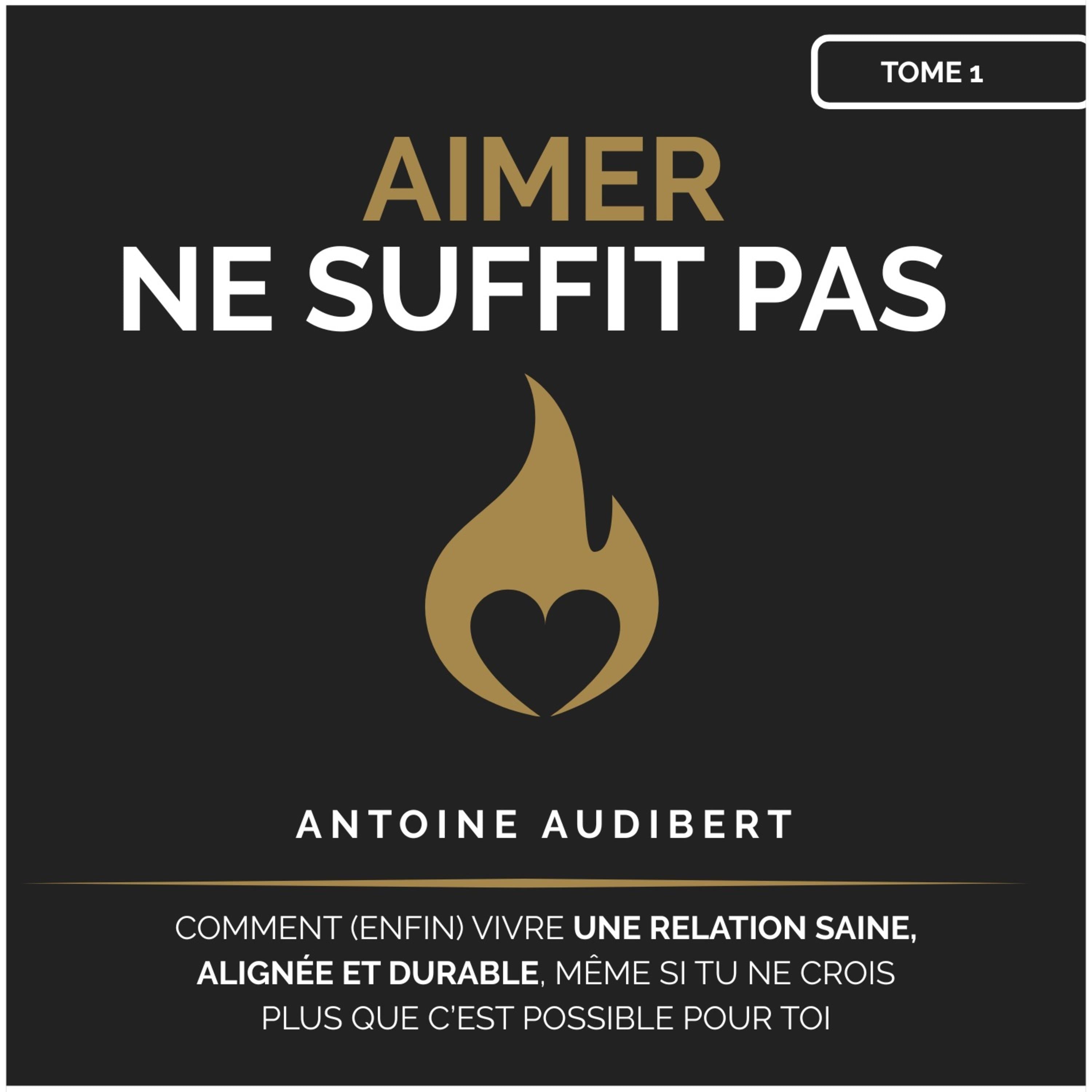 Aimer ne suffit pas