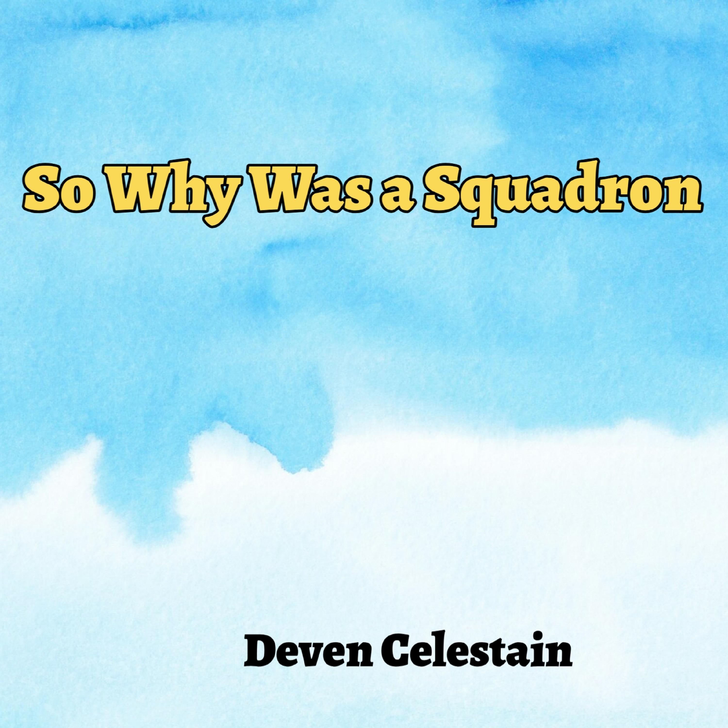 So Why Was a Squadron