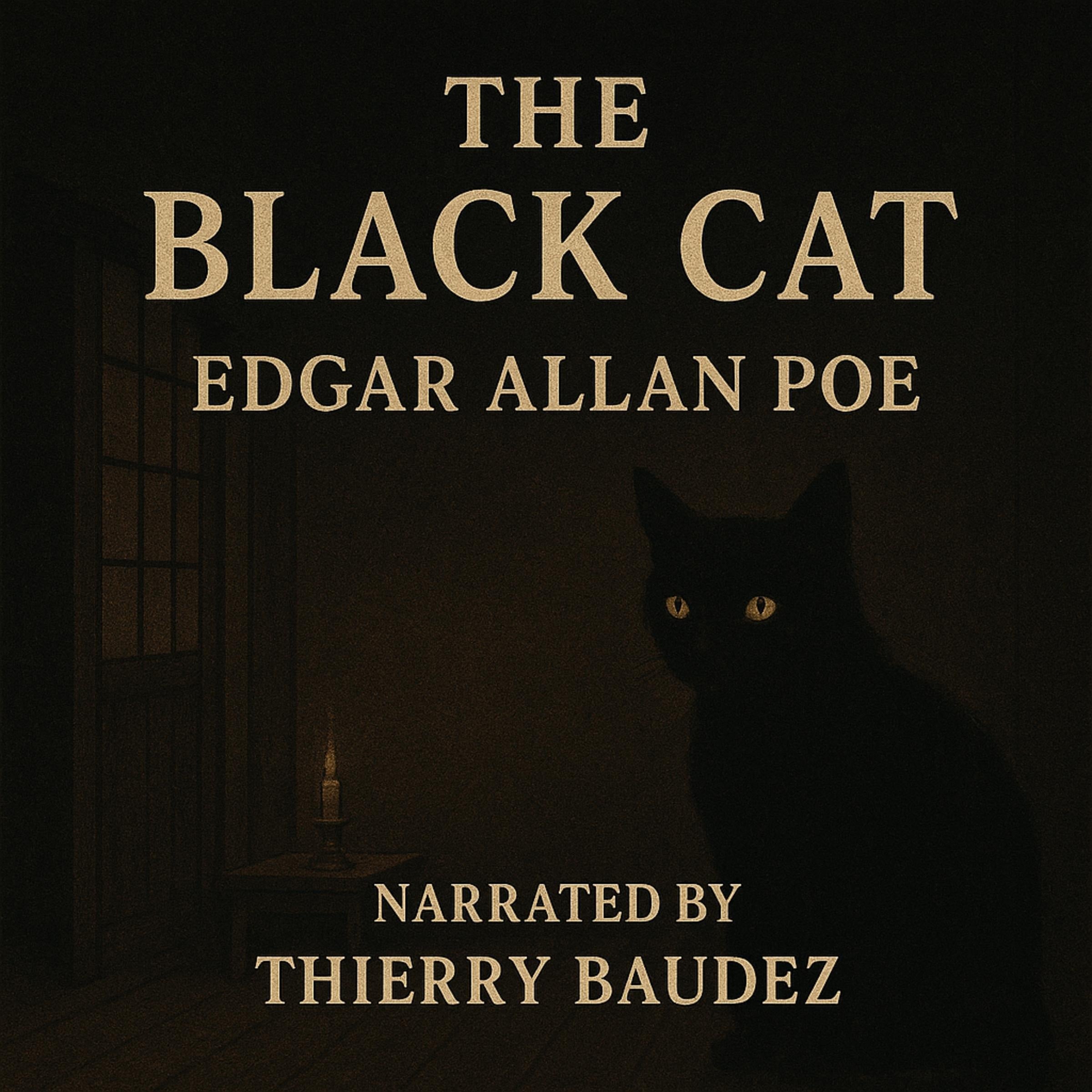 Relax, Get Inspired: The Black Cat