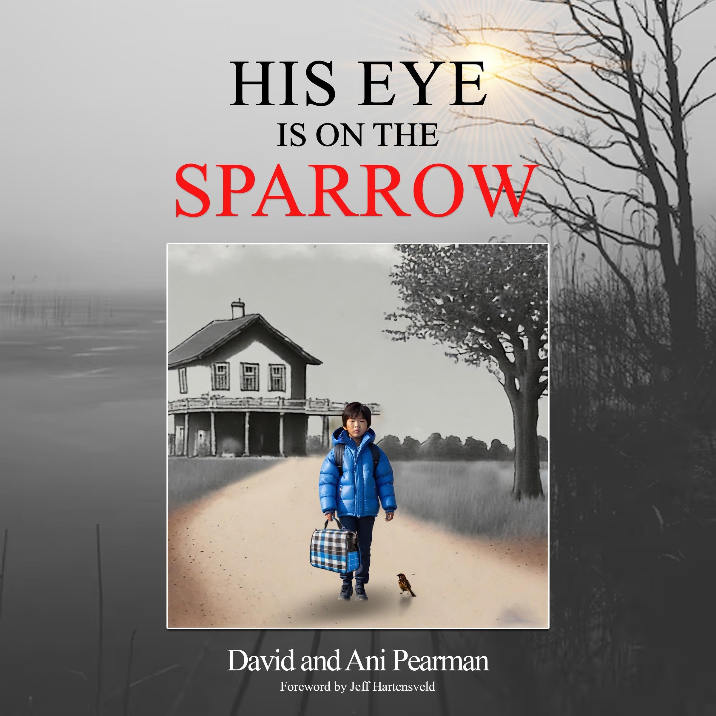 His Eye Is on the Sparrow