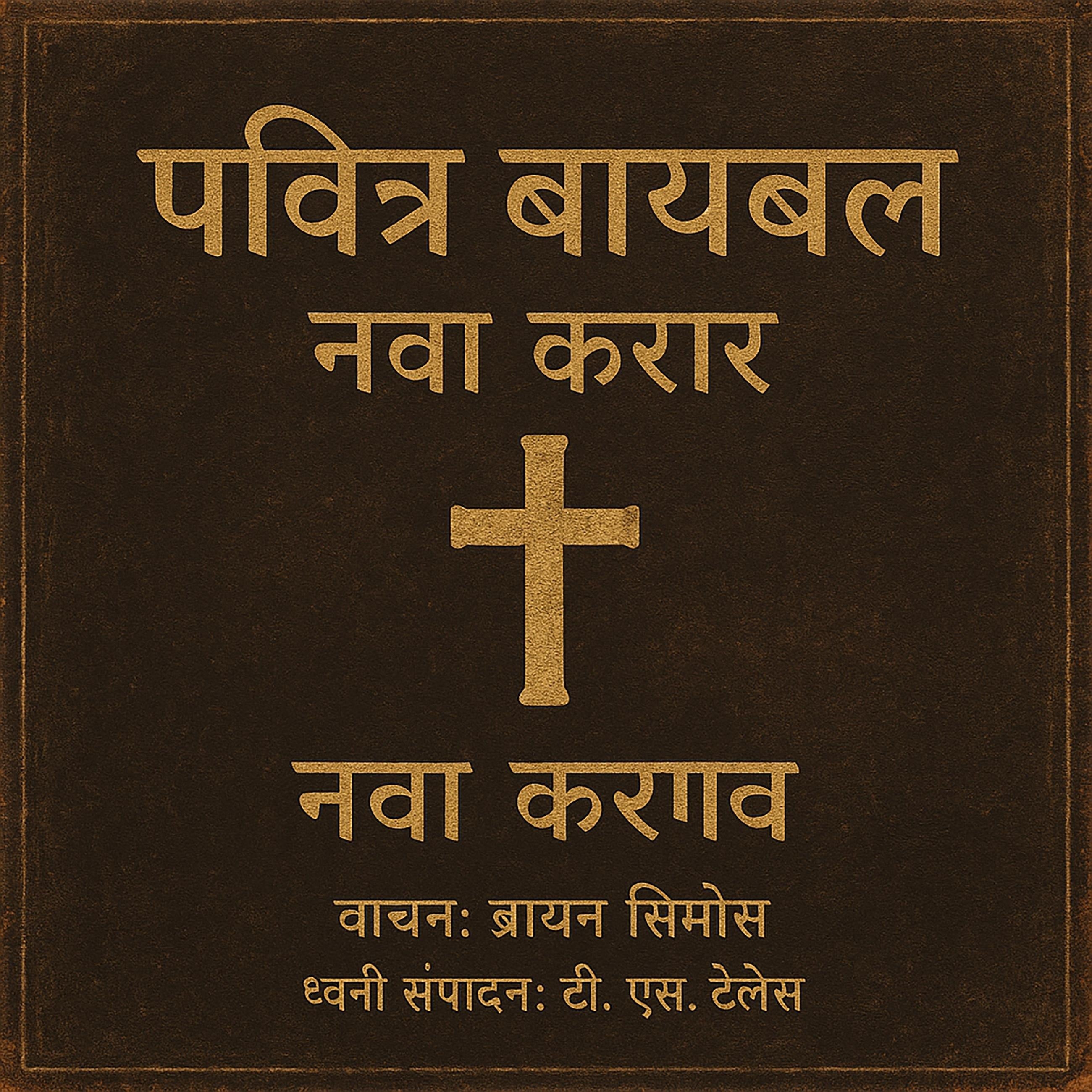 पवित्र बायबल - नवा करार