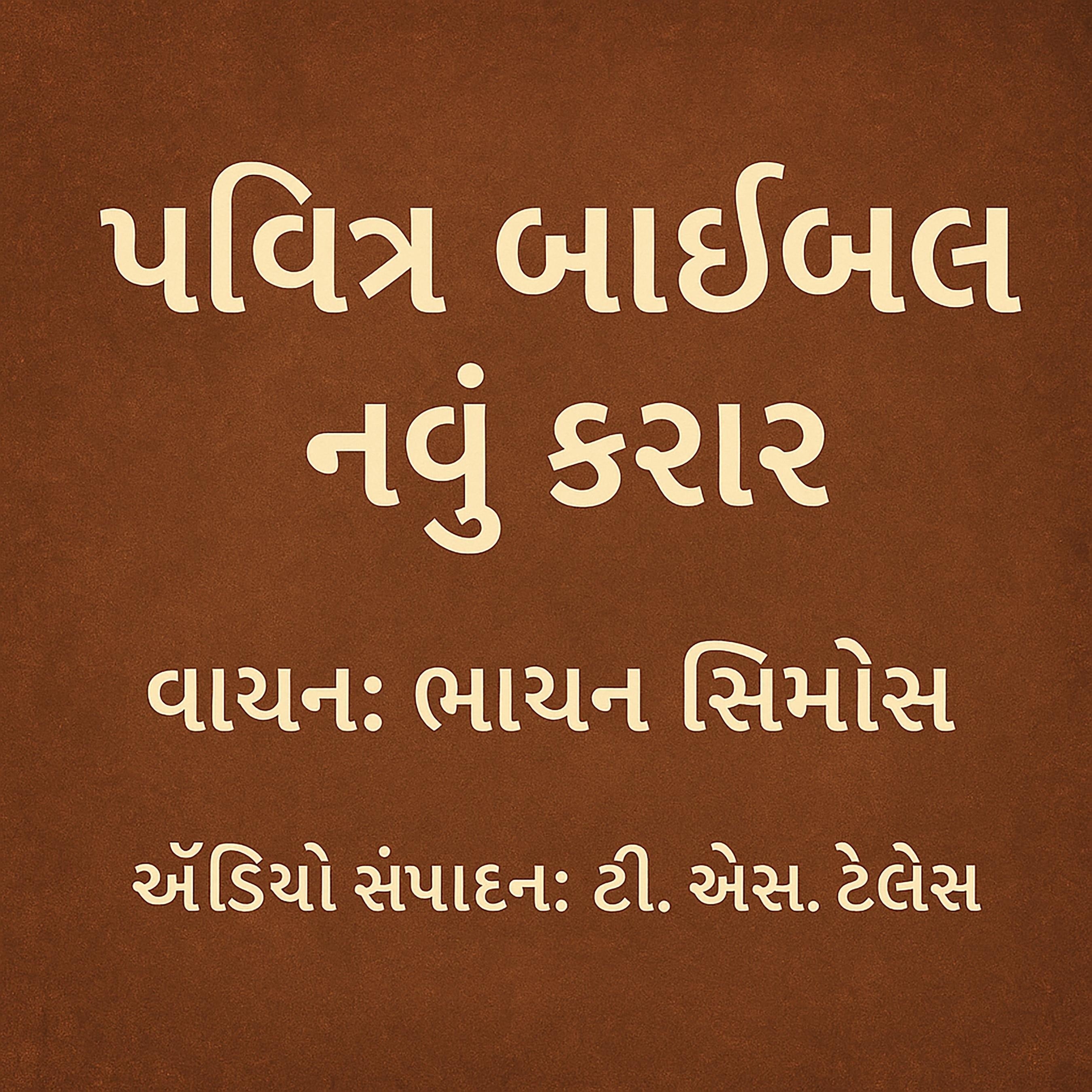 પવિત્ર બાઇબલ - નવું કરાર