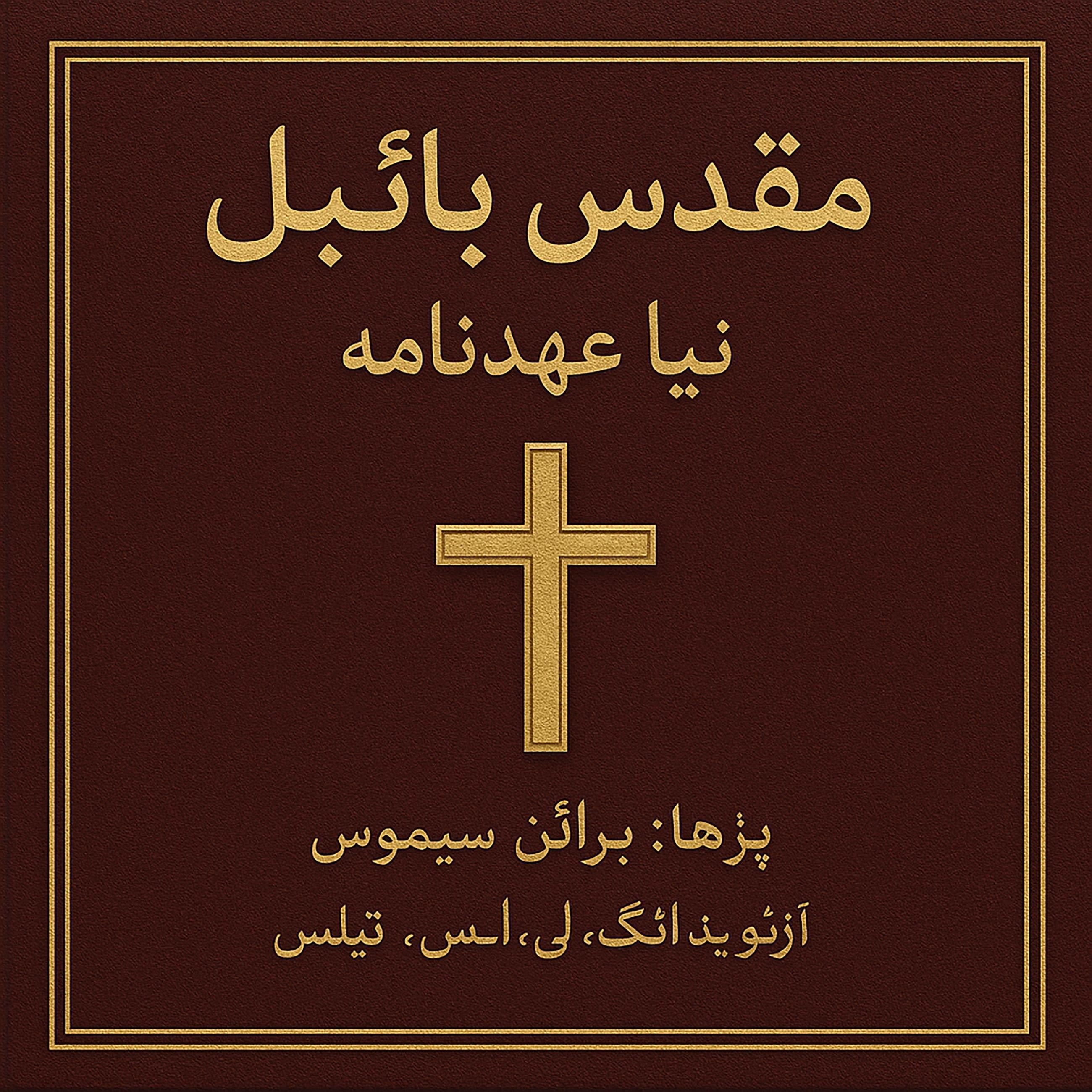 مقدس بائبل - نیا عہدنامہ