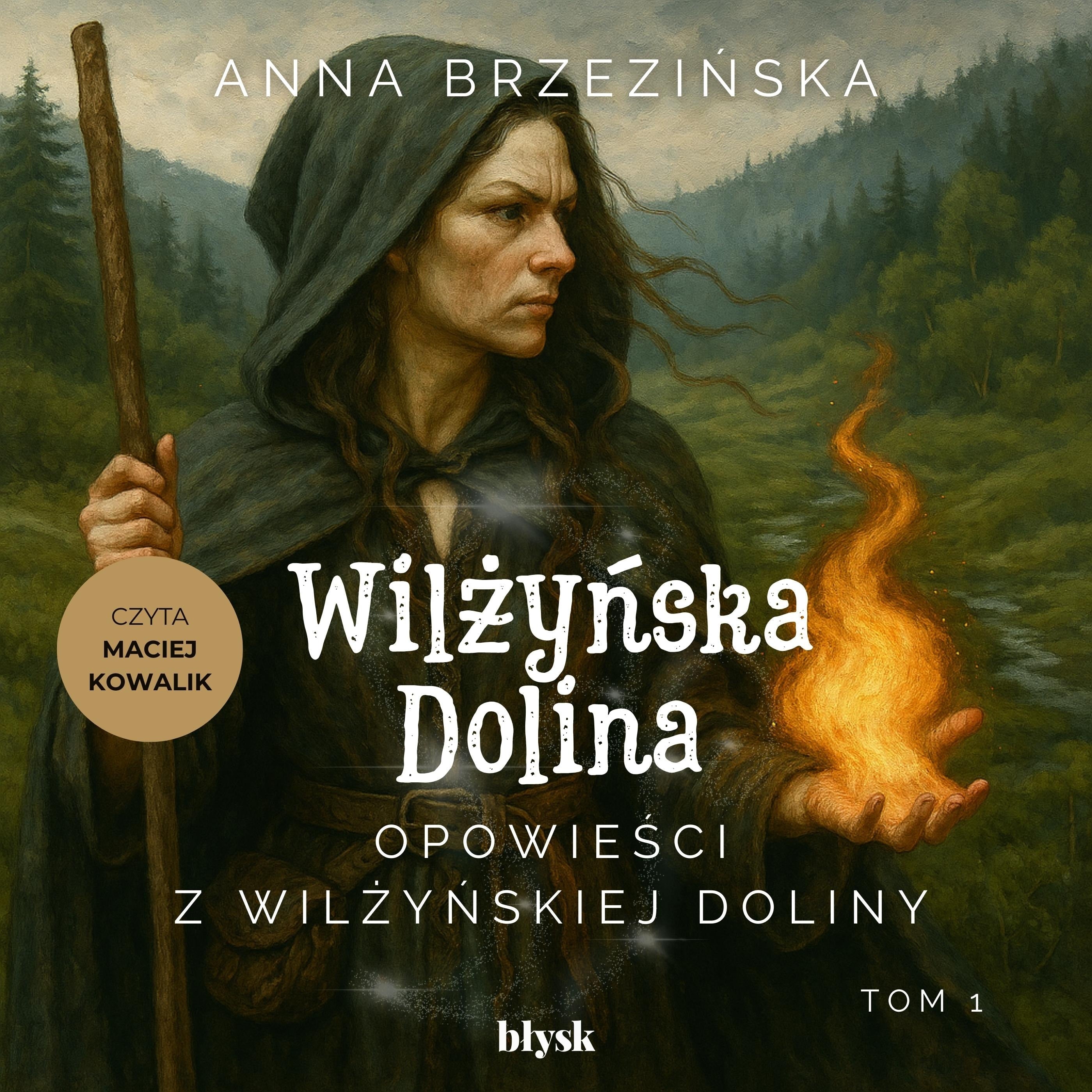 Opowieści z Wilżyńskiej Doliny