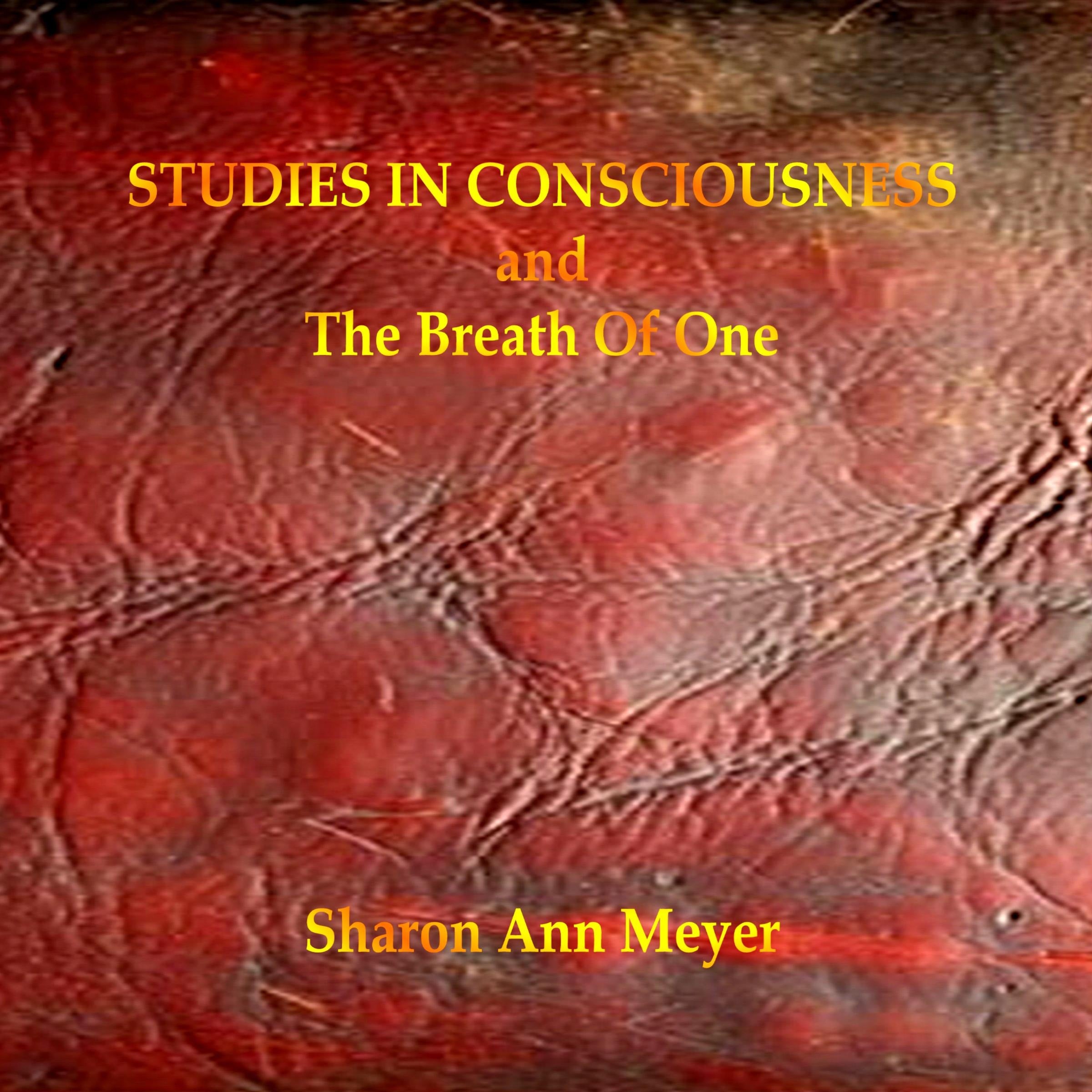 Studies In Consciousness
