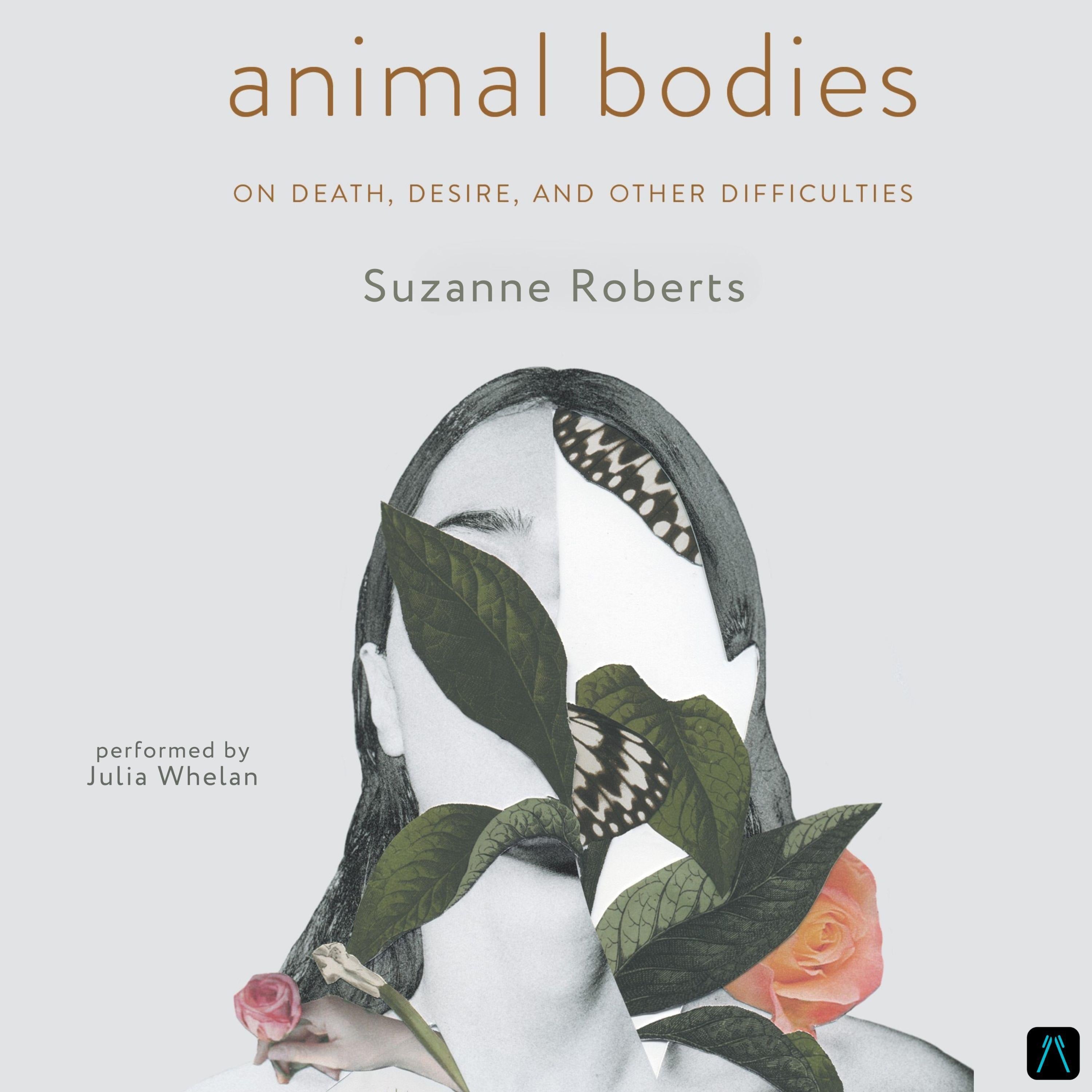 Animal Bodies: On Death, Desire, and Other Difficulties