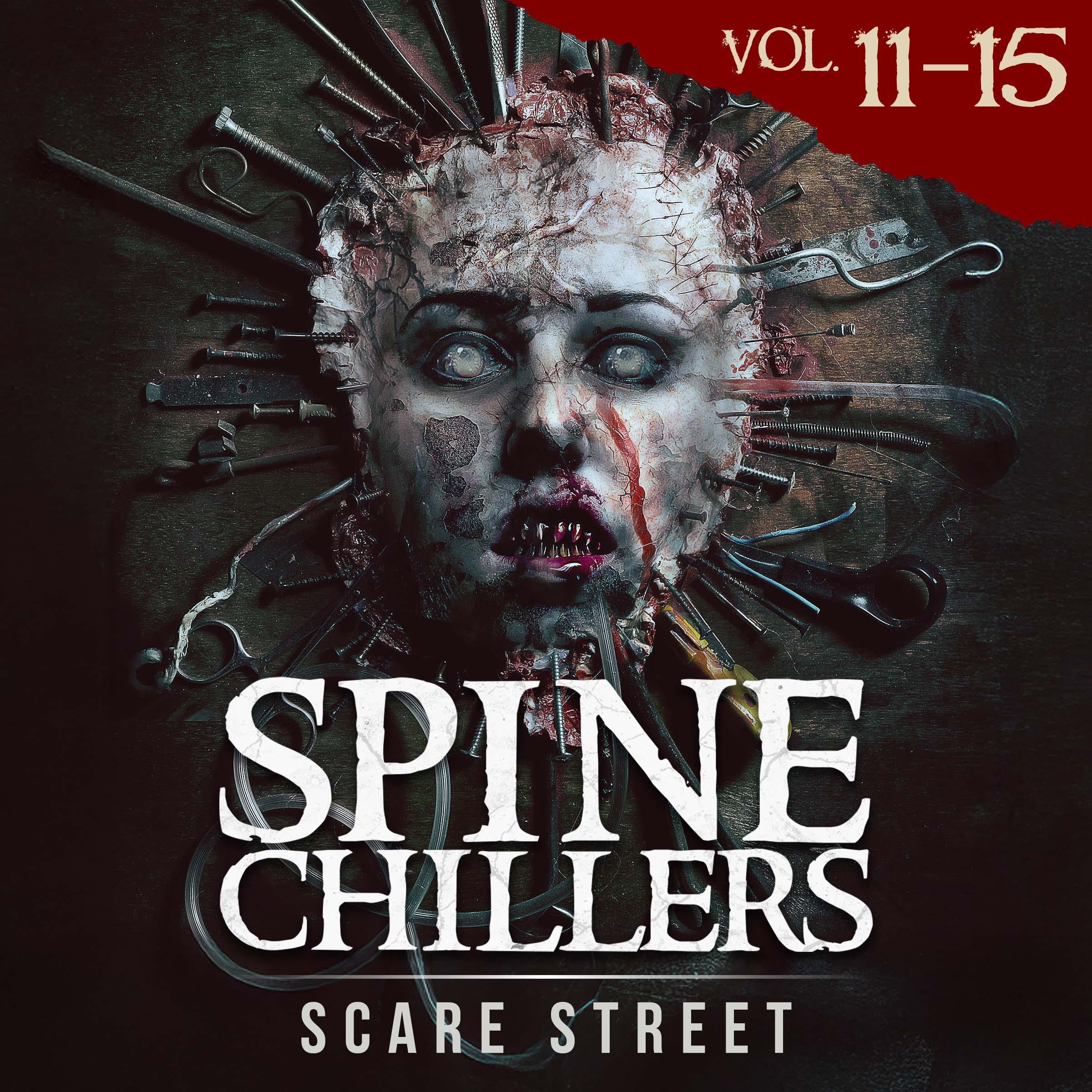 Short Horror Stories: Spine Chillers Volumes 11 - 15