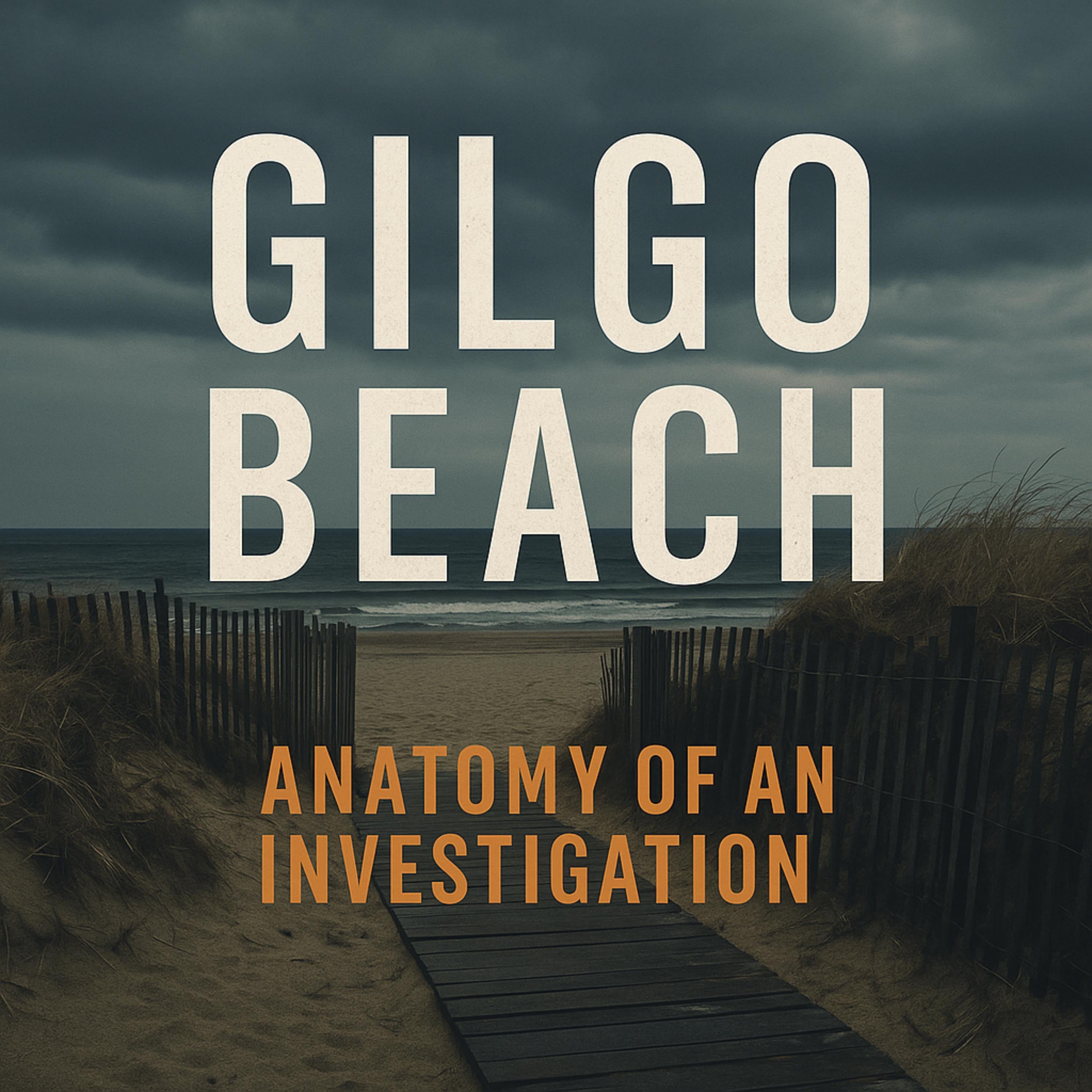 Gilgo Beach