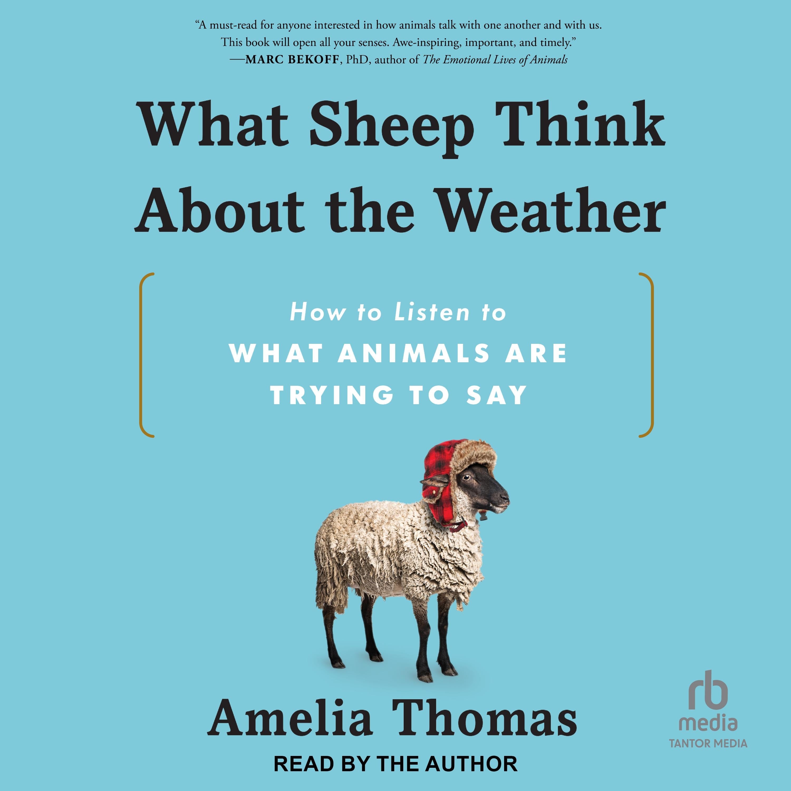 What Sheep Think About the Weather