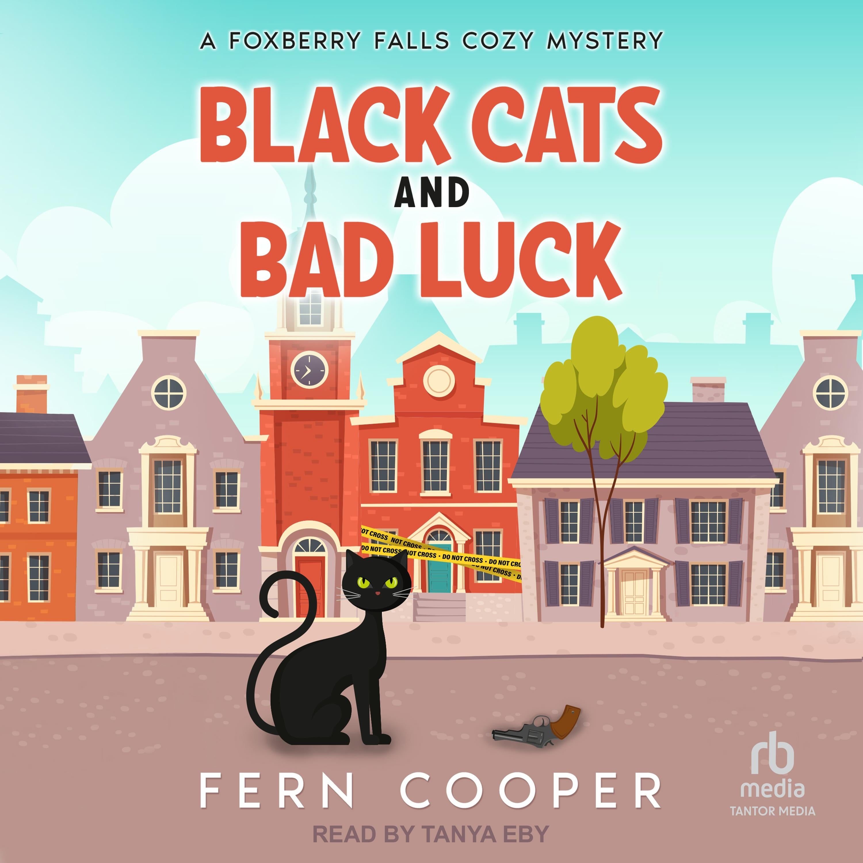 Black Cats and Bad Luck