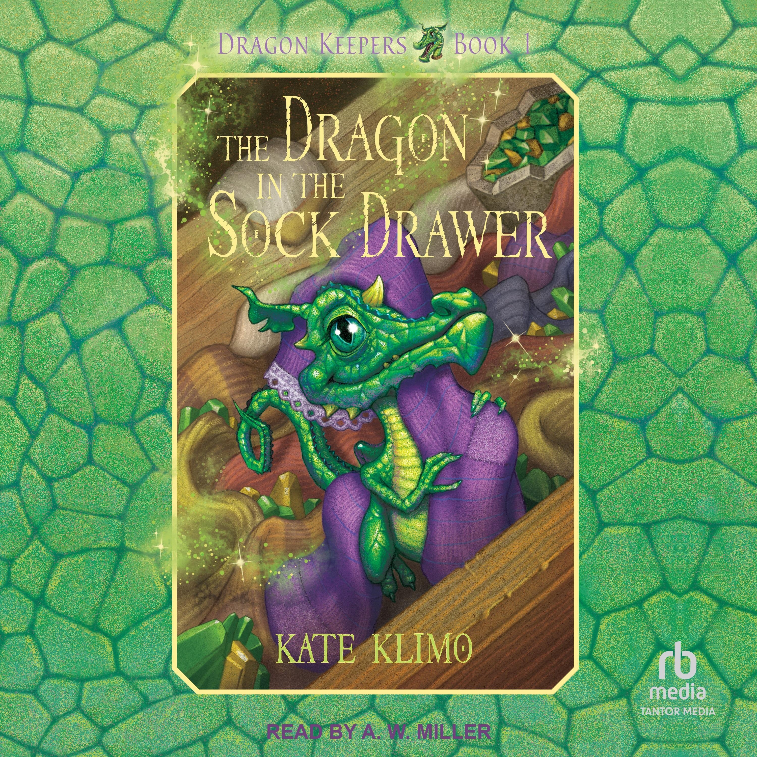 The Dragon in the Sock Drawer