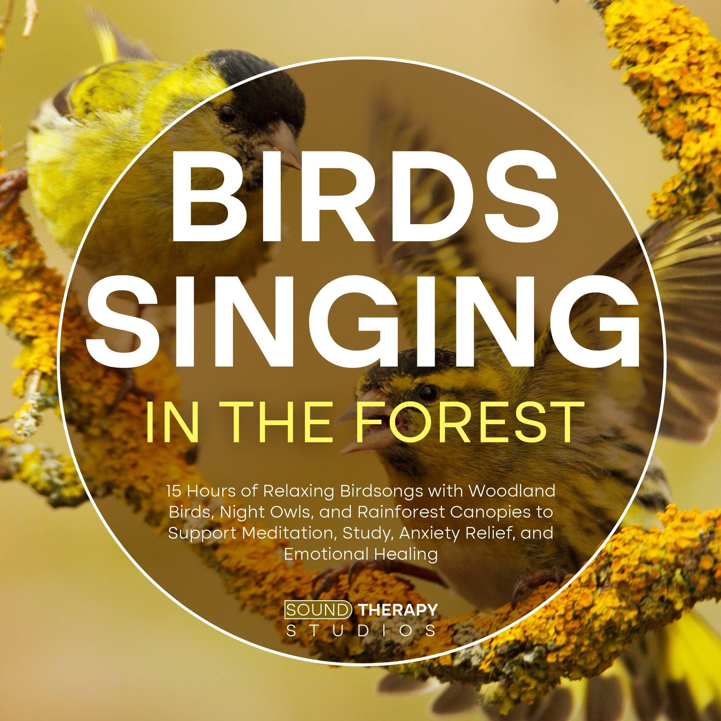 Birds Singing in the Forest: 15 Hours of Relaxing Birdsongs with Woodland Birds, Night Owls, and Rainforest Canopies to Support Meditation, Study, Anxiety Relief, and Emotional Healing