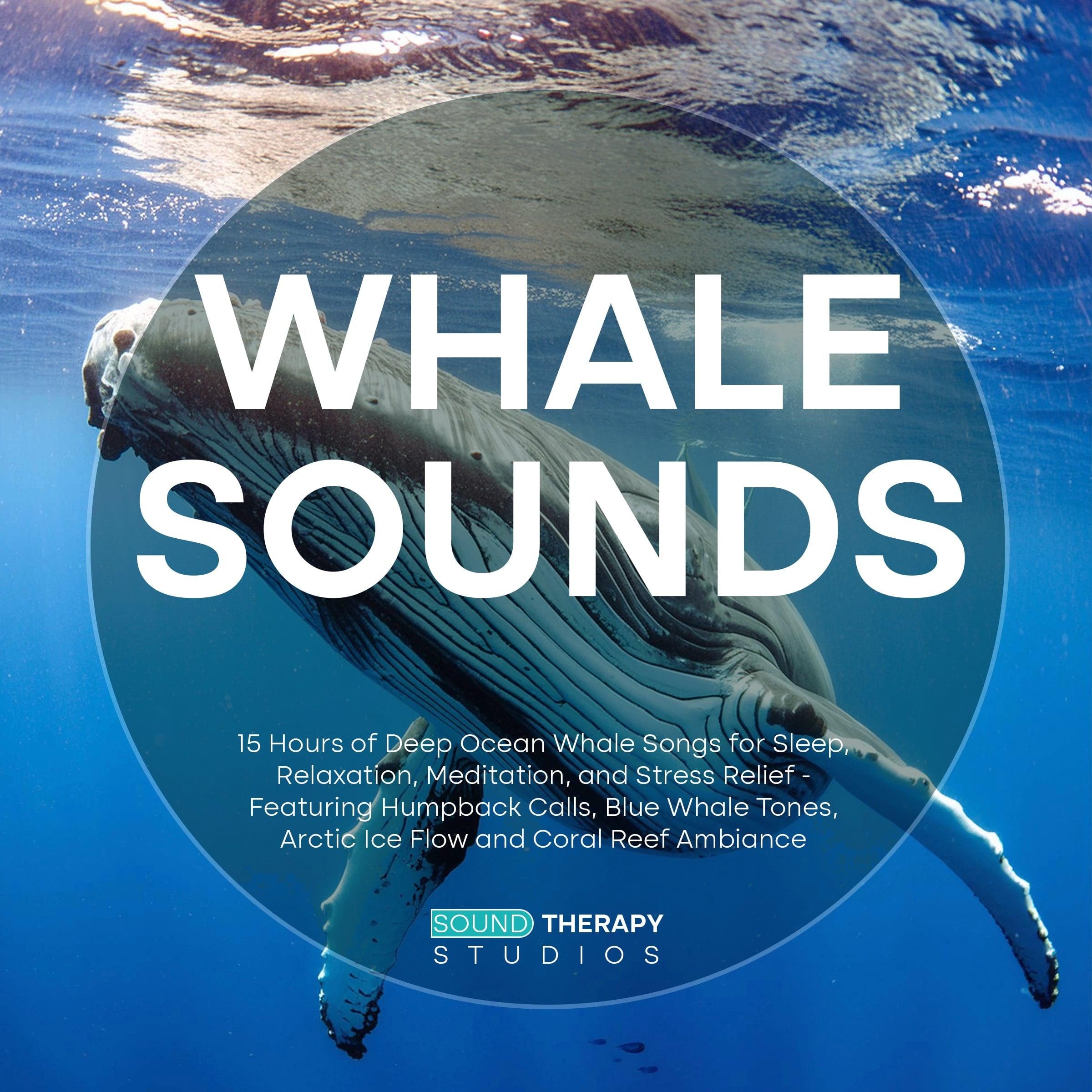 Whale Sounds: 15 Hours of Deep Ocean Whale Songs for Sleep, Relaxation, Meditation, and Stress Relief - Featuring Humpback Calls, Blue Whale Tones, Arctic Ice Flow and Coral Reef Ambiance