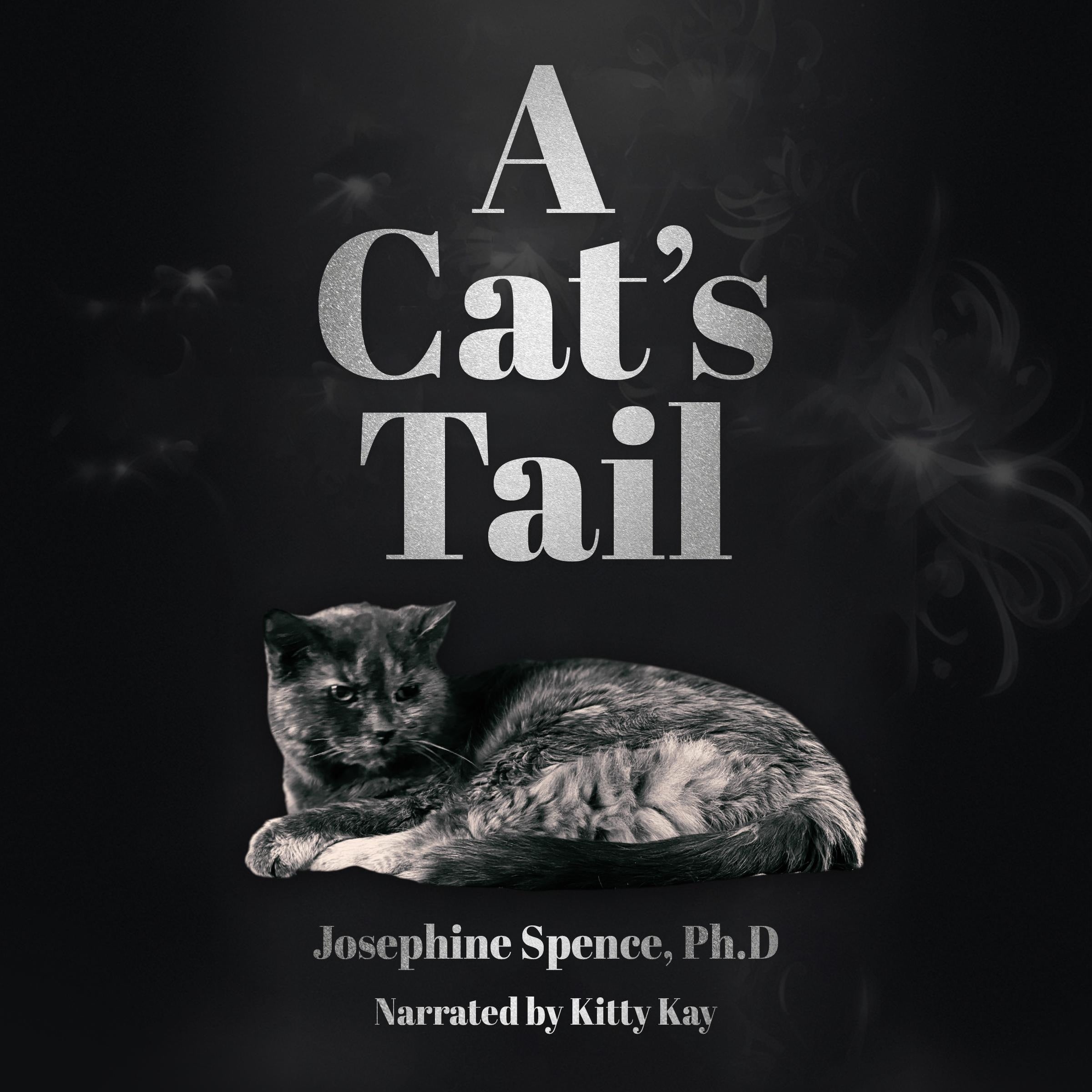 A Cat's Tail