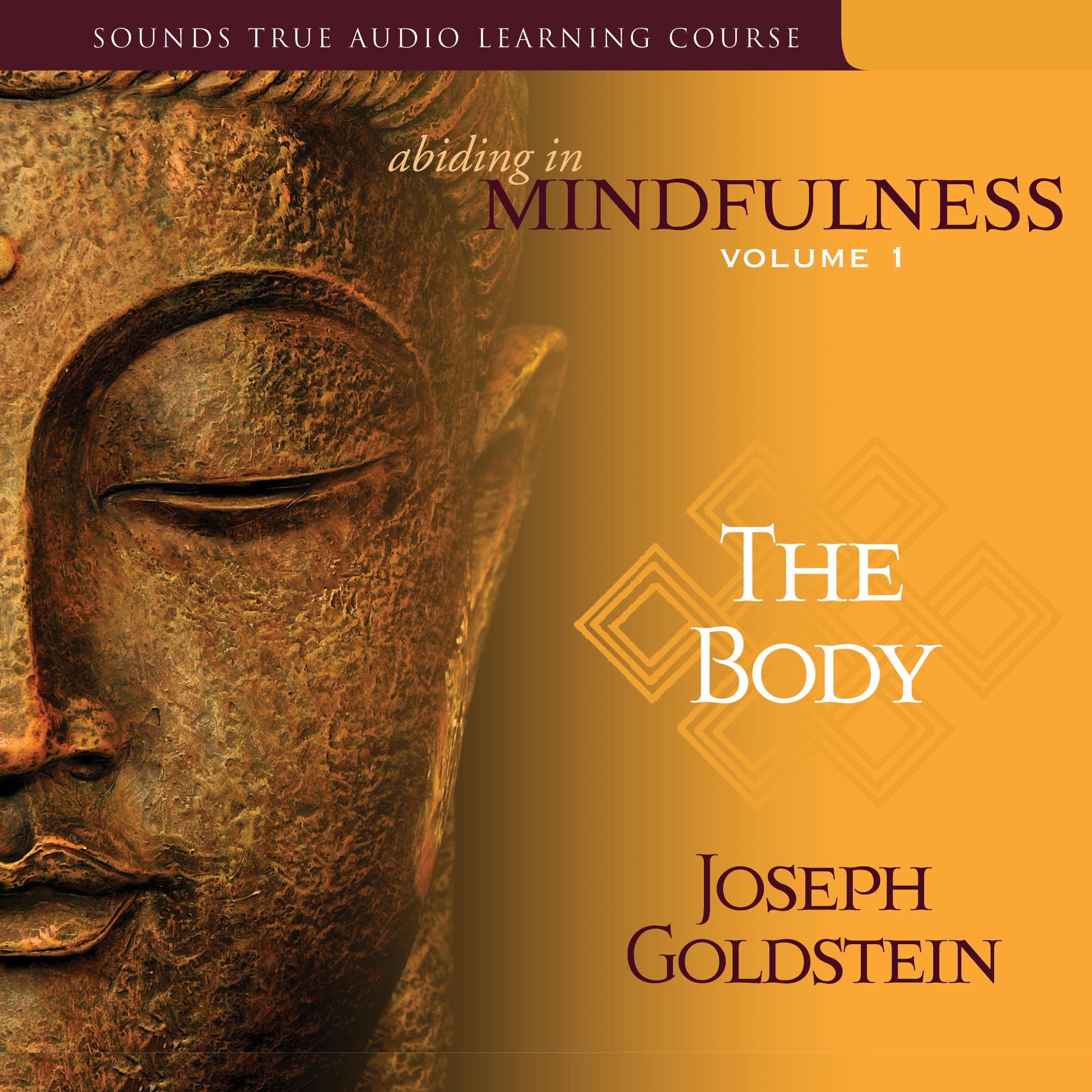 Abiding in Mindfulness, Volume 1