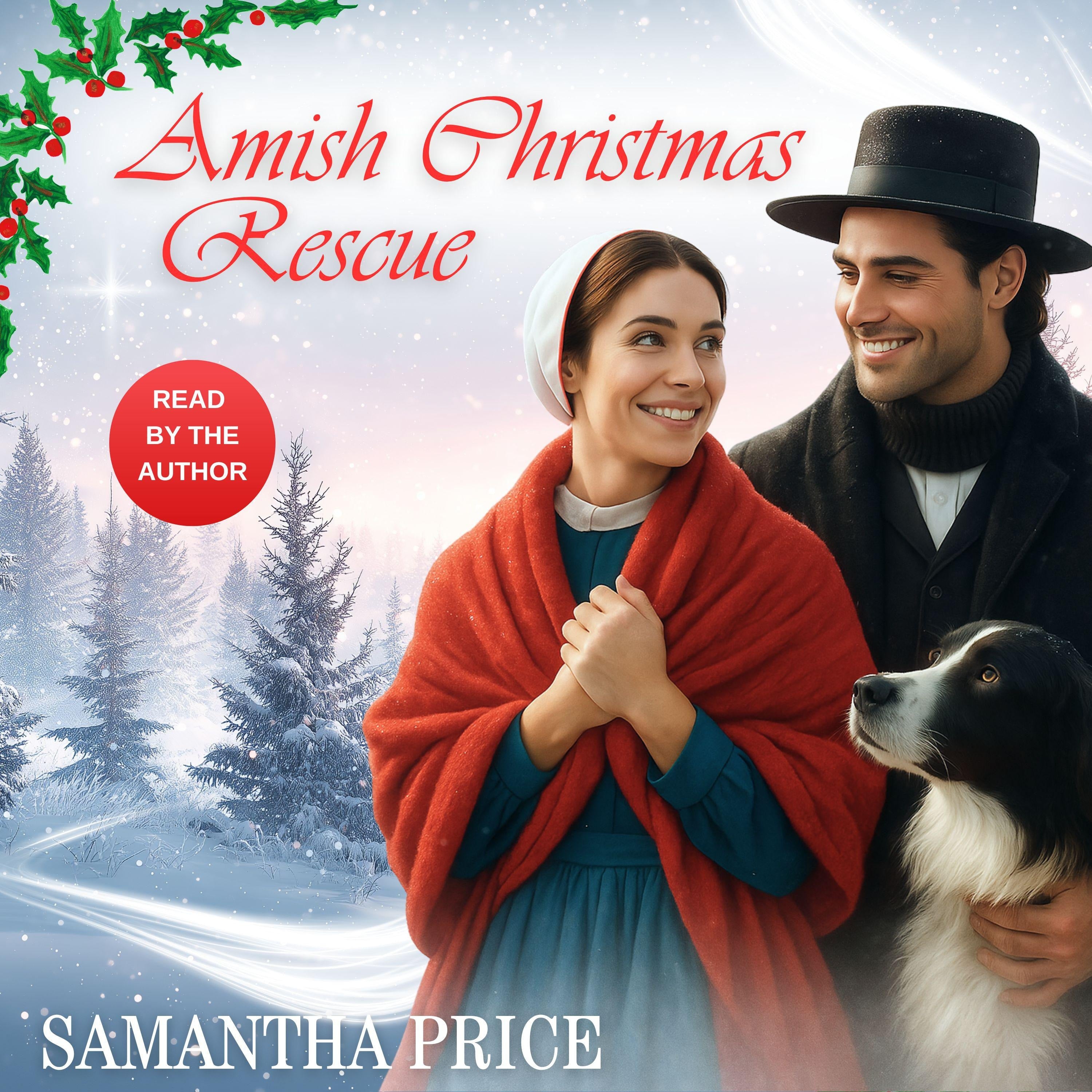 Amish Christmas Rescue