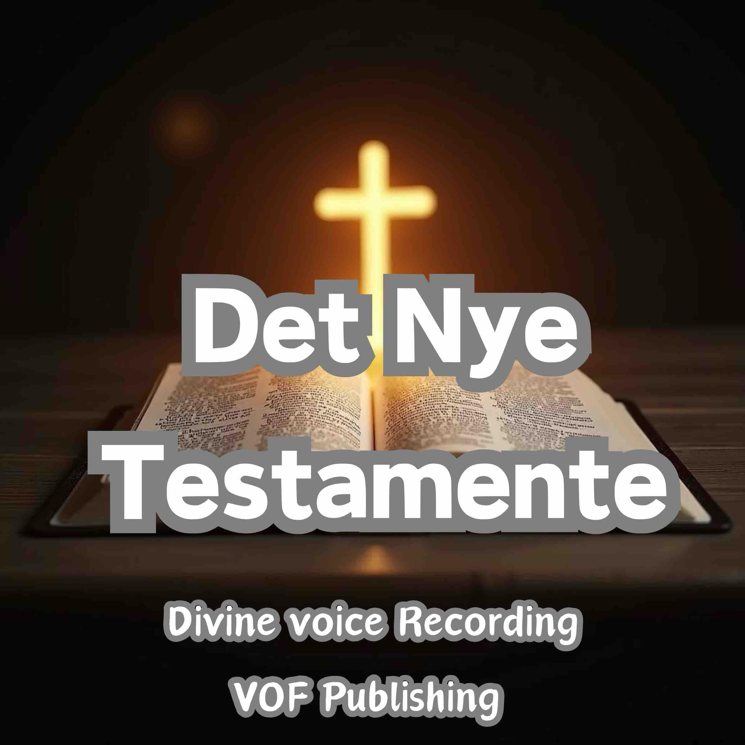 Det Nye Testamente