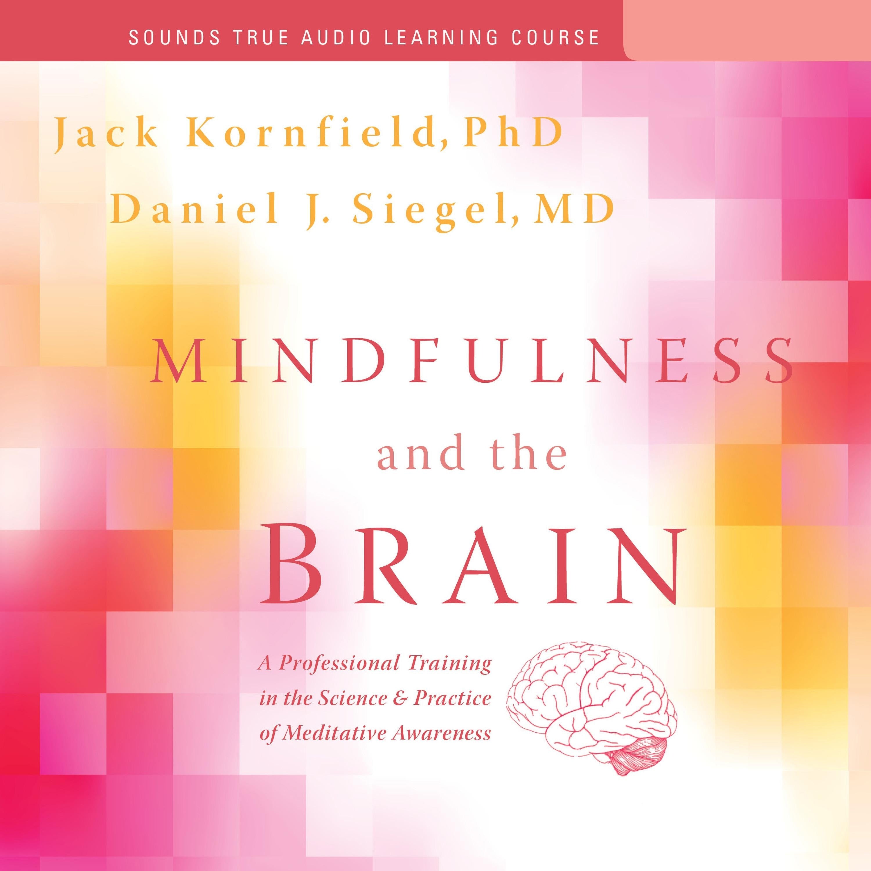 Mindfulness and the Brain