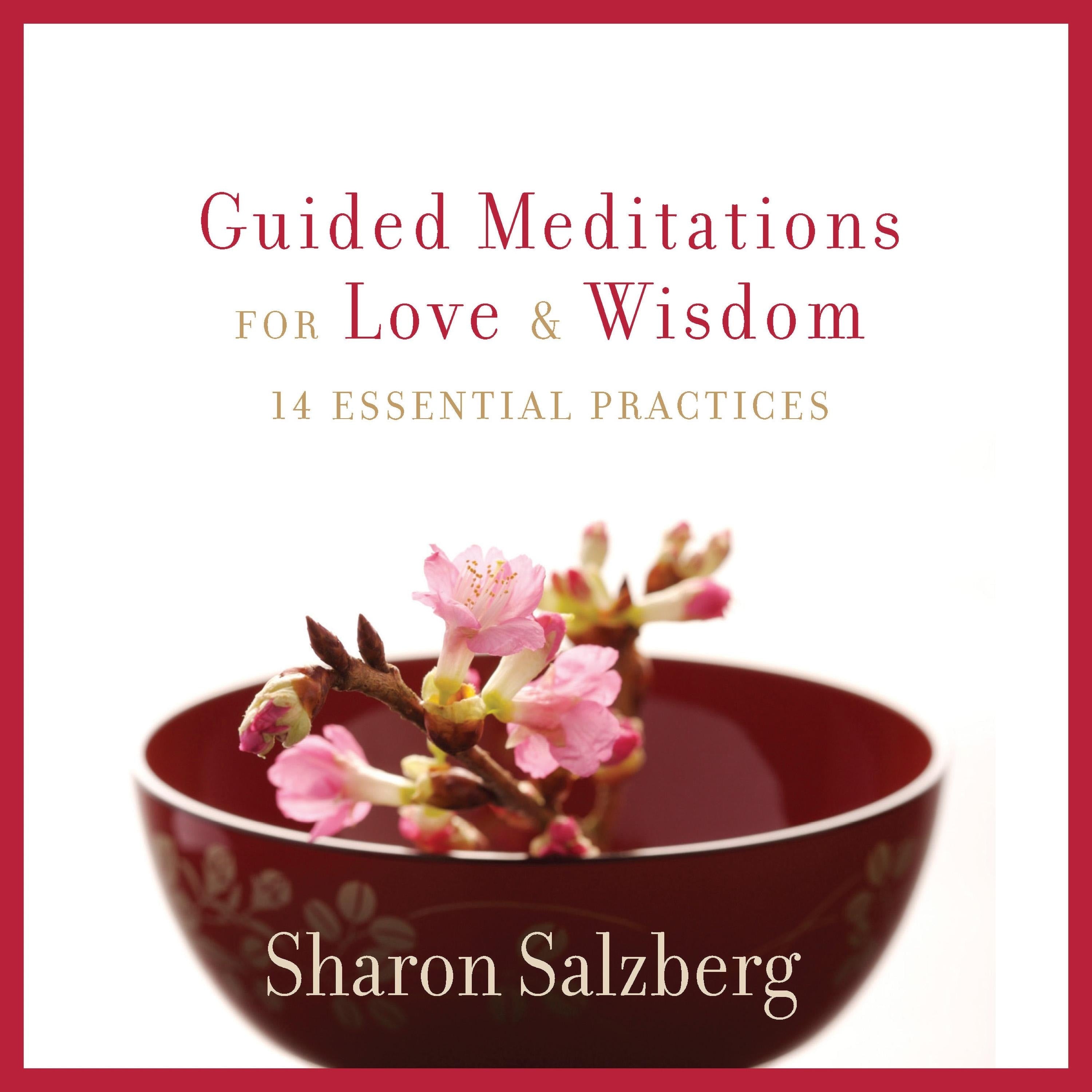 Guided Meditations for Love and Wisdom
