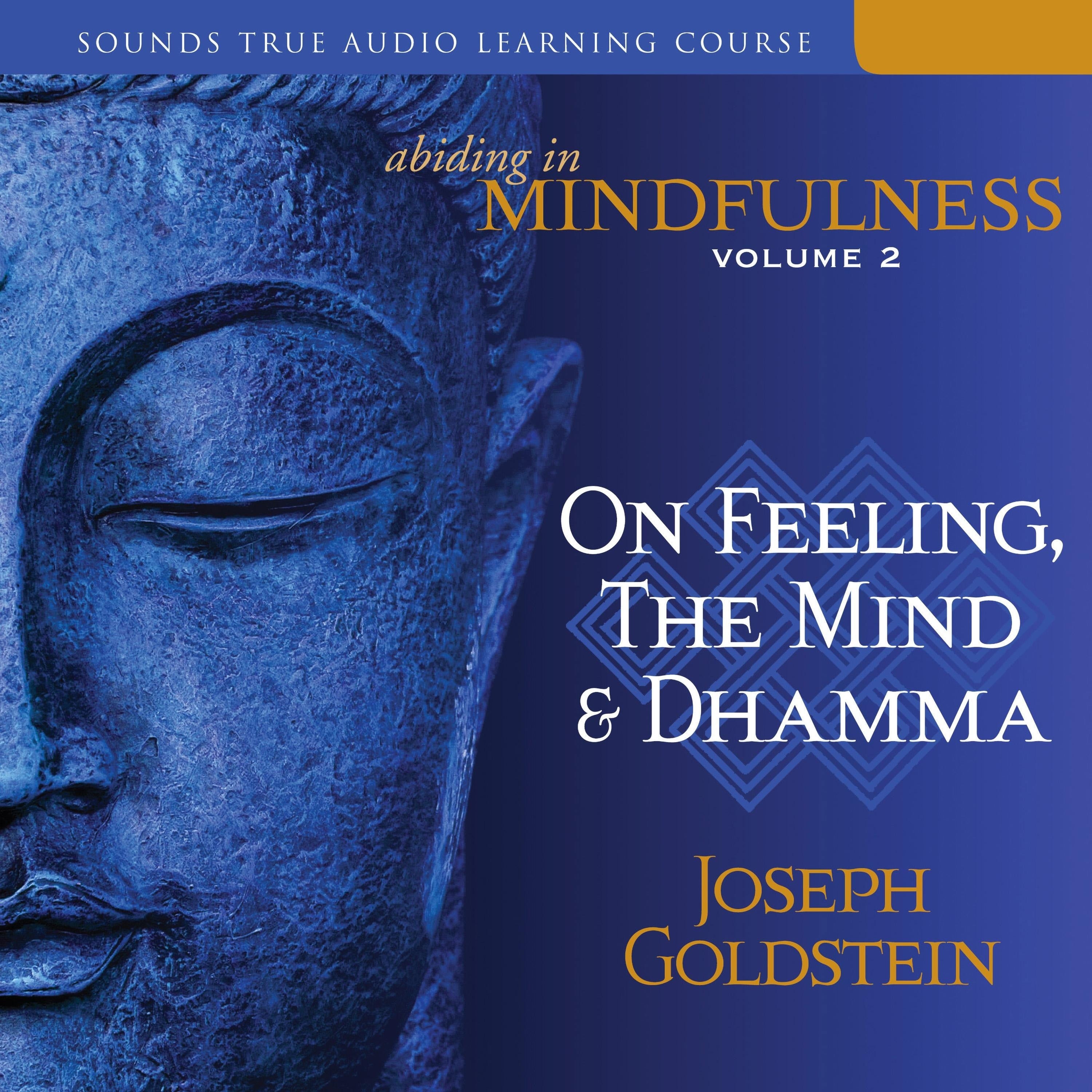 Abiding in Mindfulness, Volume 2