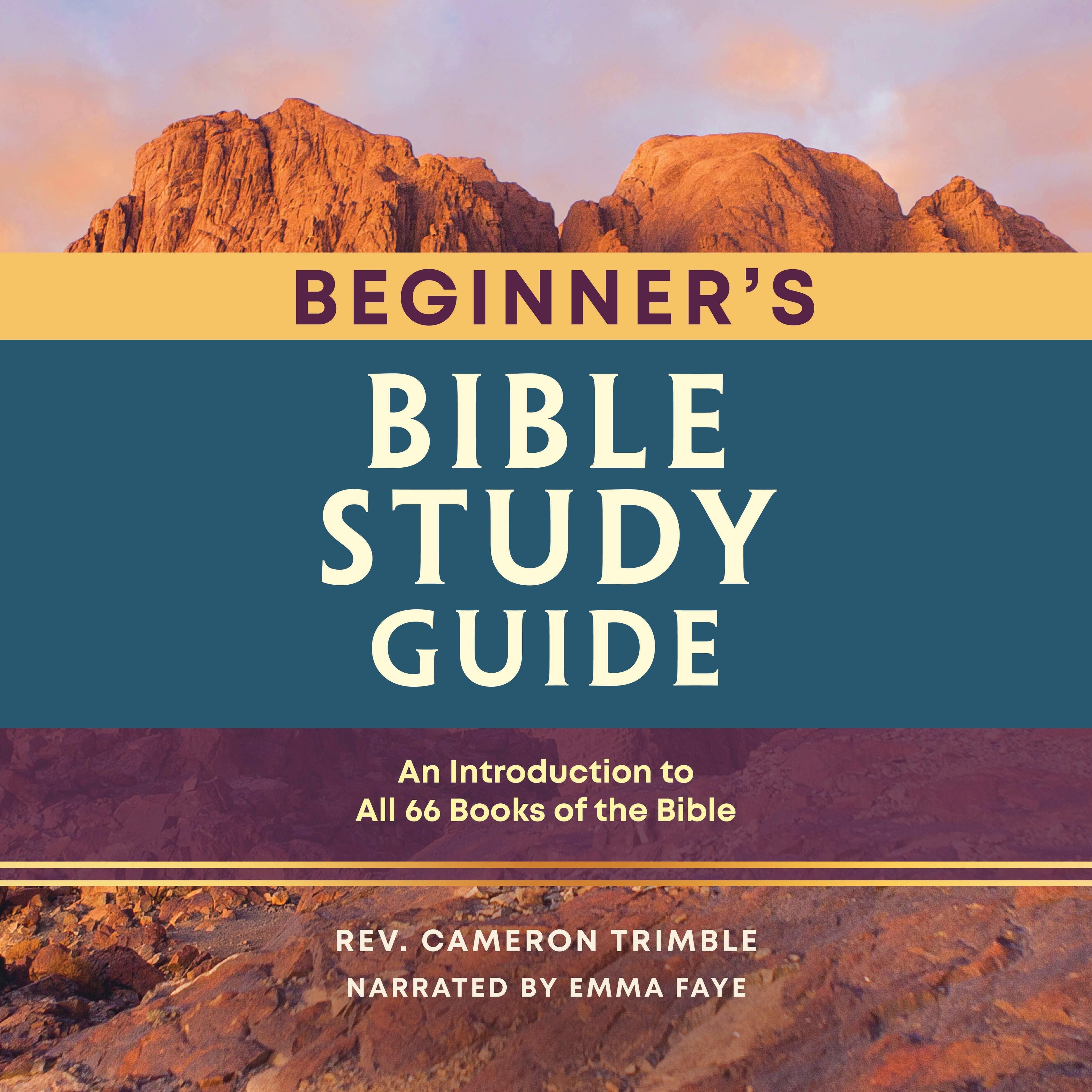 The Beginner's Bible Study Guide