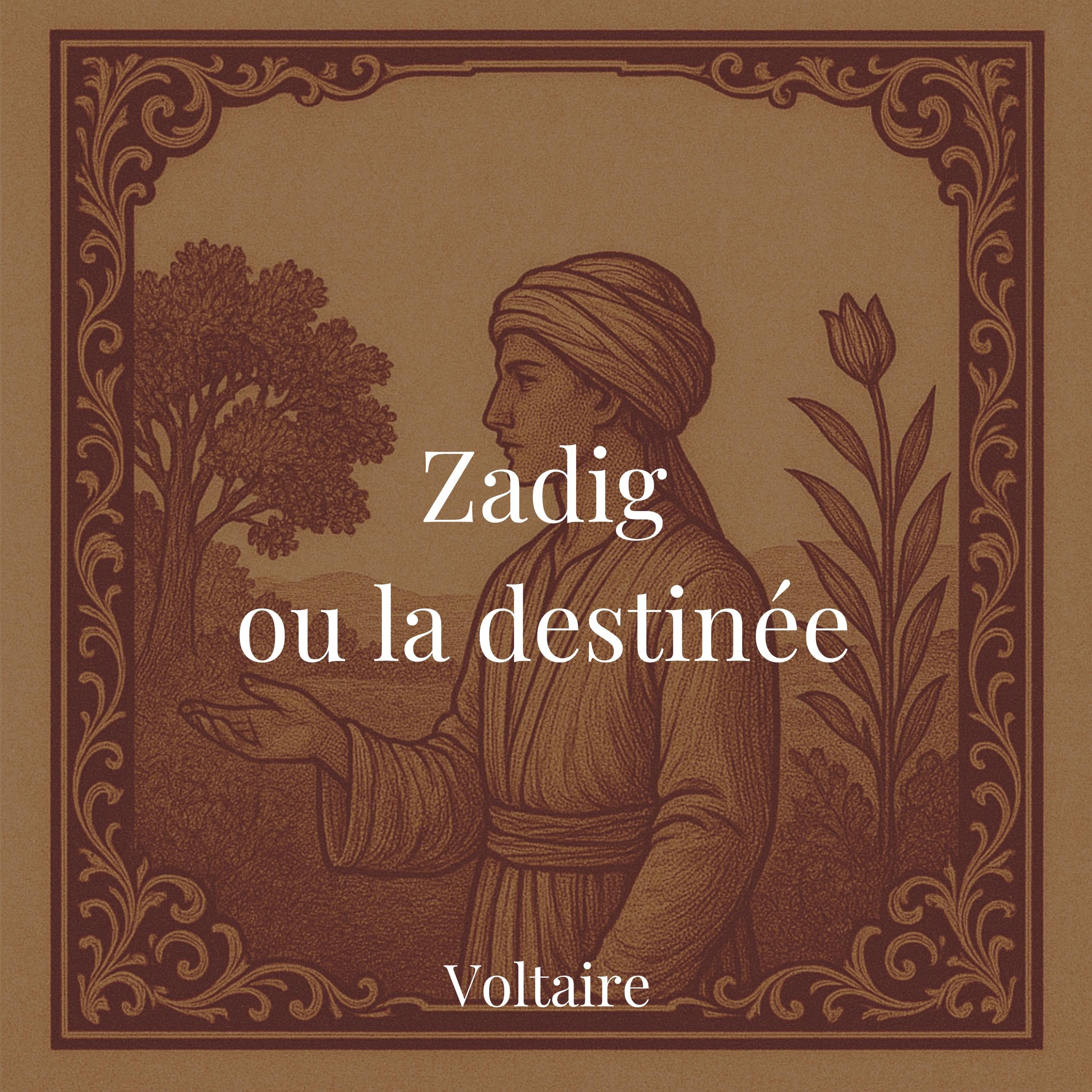 Zadig ou la destinée