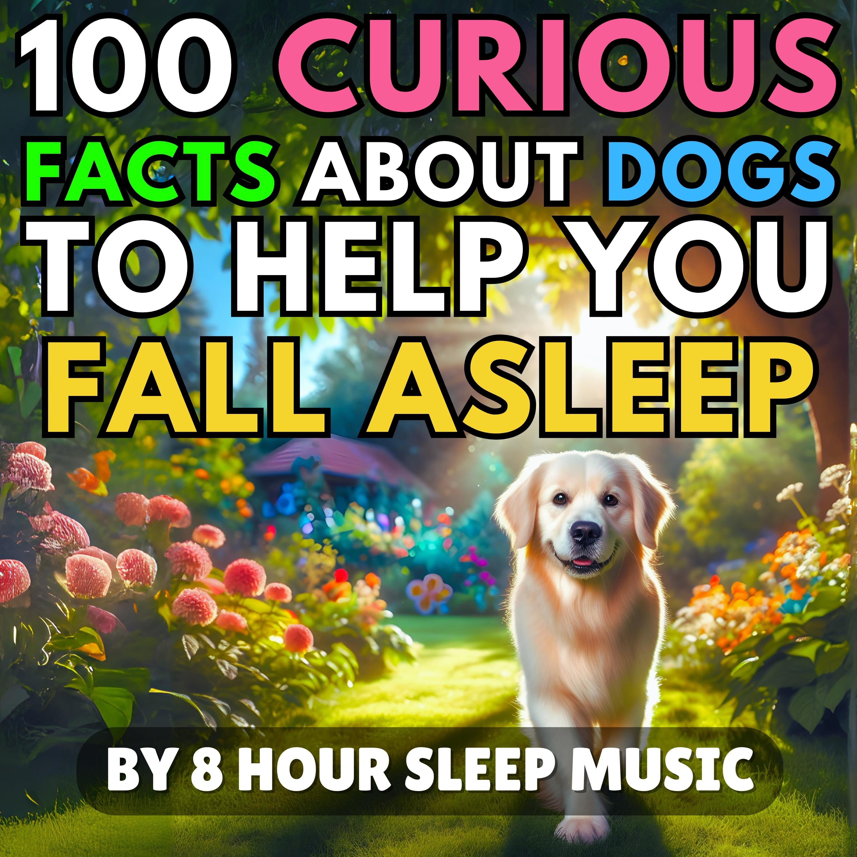 100 Curious Facts About Dogs to Help You Fall Asleep