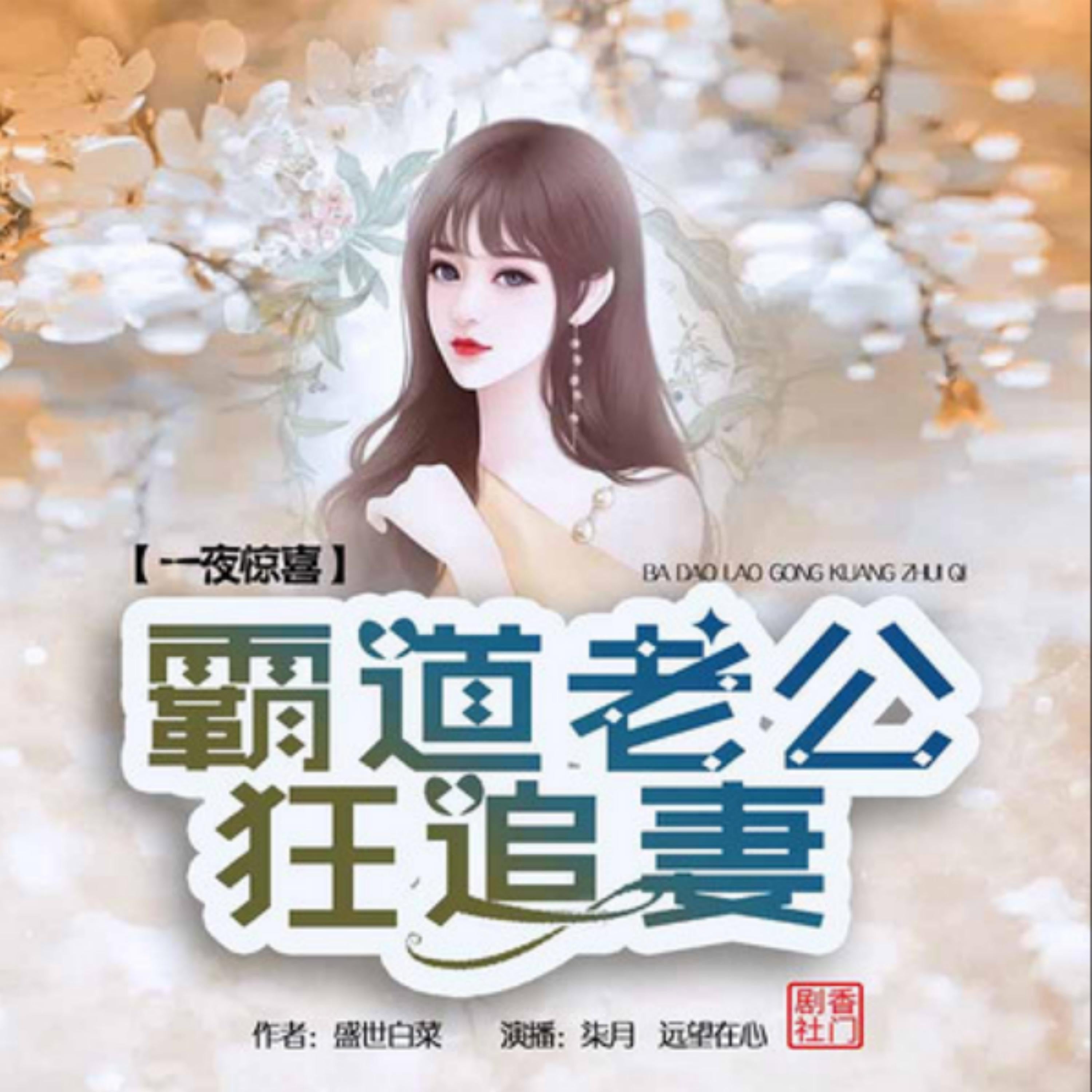 一夜惊喜:霸道老公狂追妻2