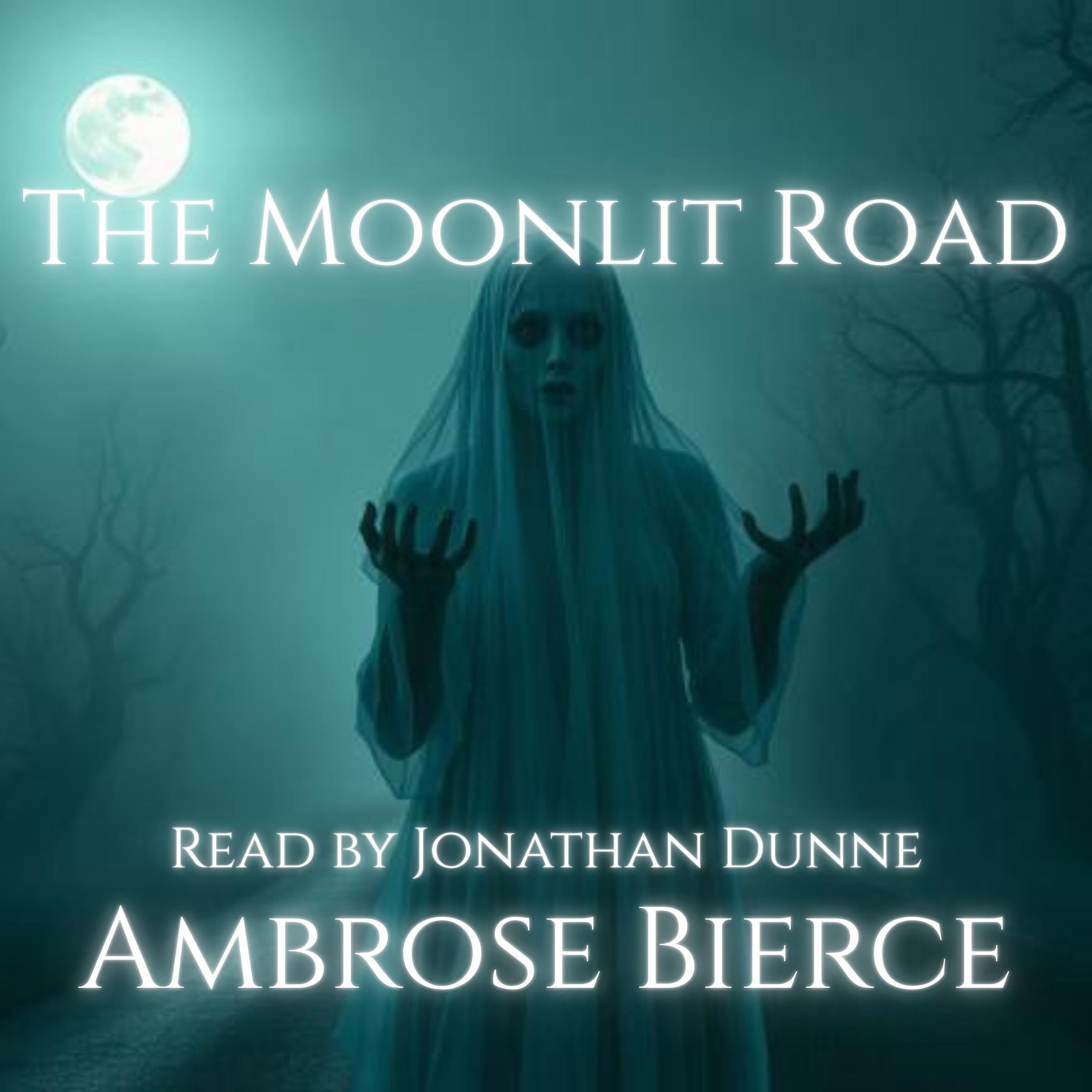 The Moonlit Road