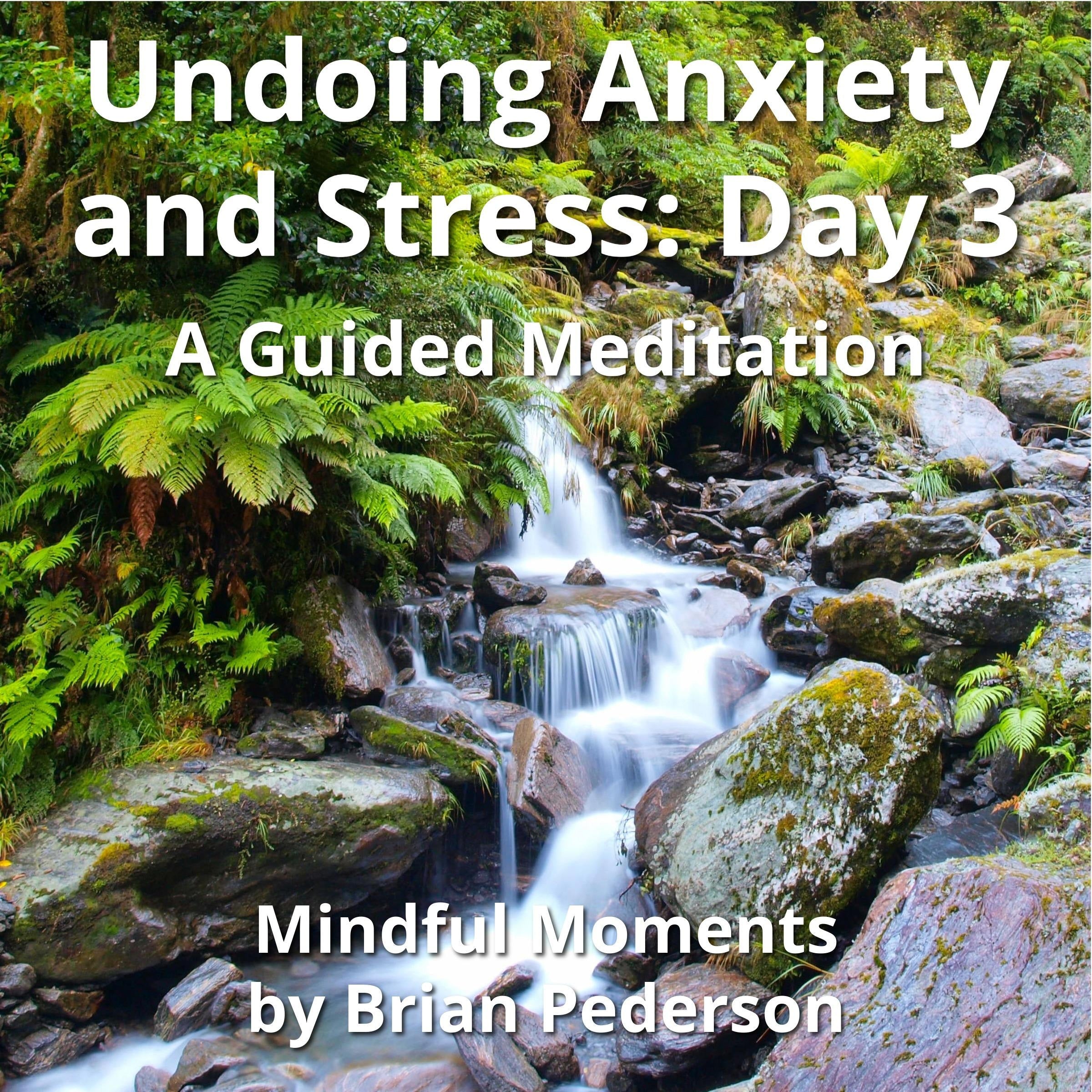 Undoing Anxiety and Stress: Day 3