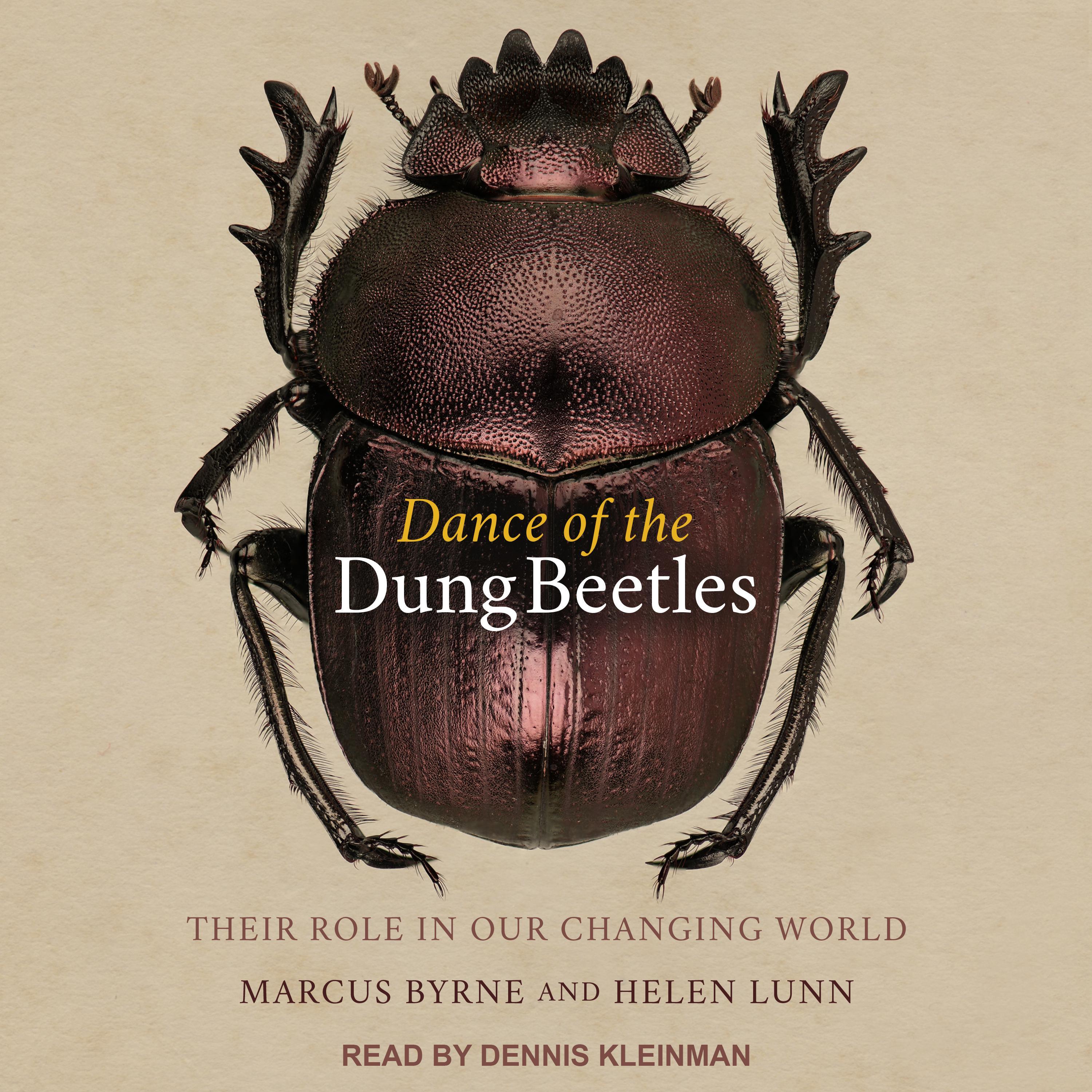 Dance of the Dung Beetles