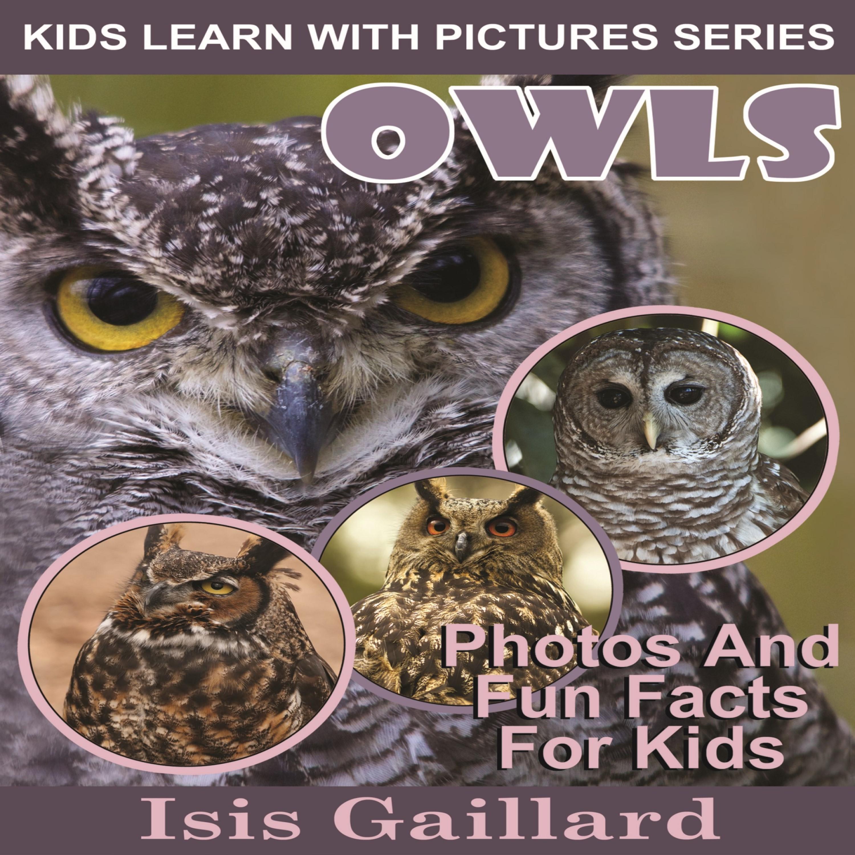 Owls