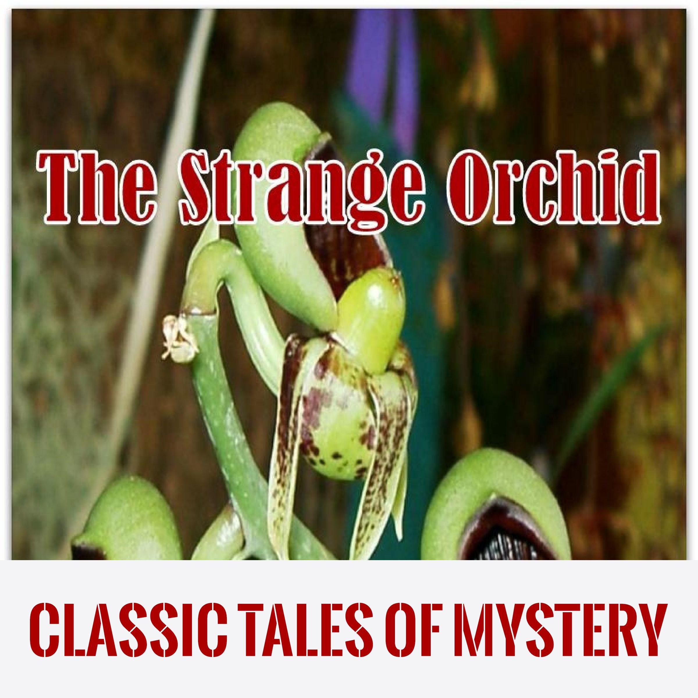 The Strange Orchid