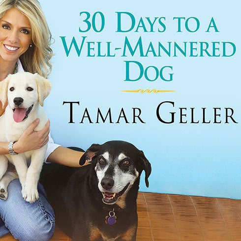 30 Days to a Well-Mannered Dog