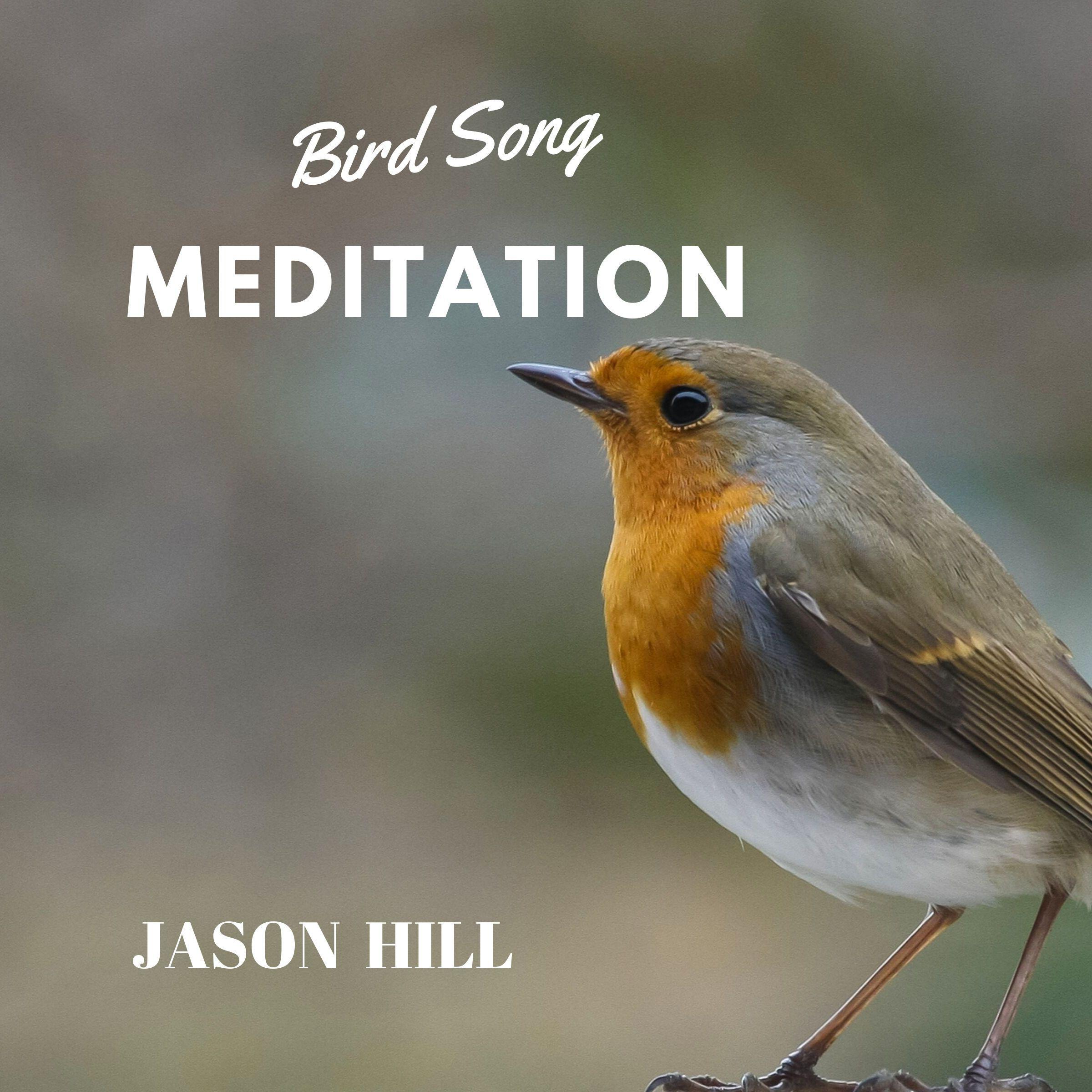 Bird Song Meditation