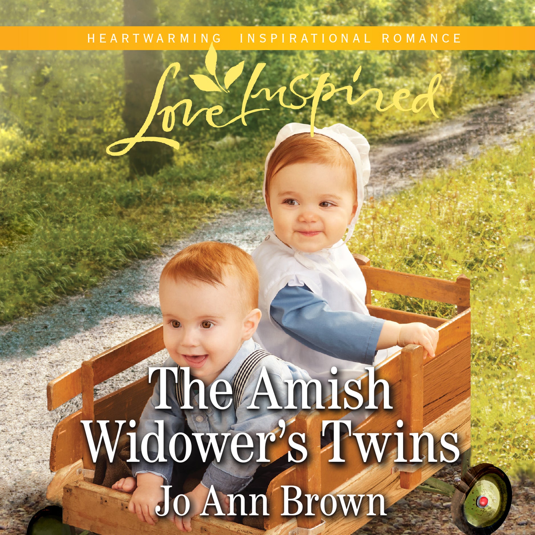 The Amish Widower's Twins